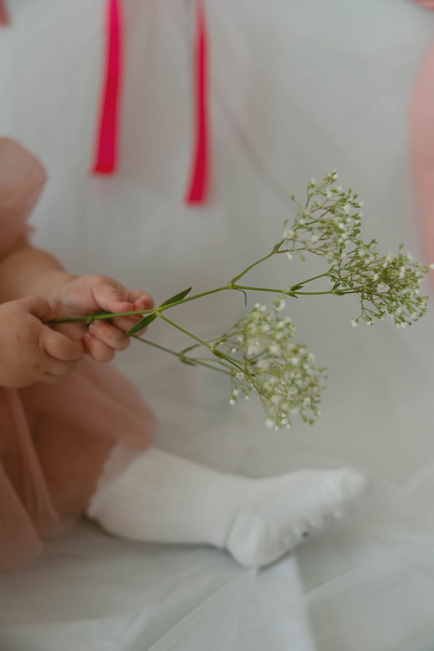 Edmonton family photographer
