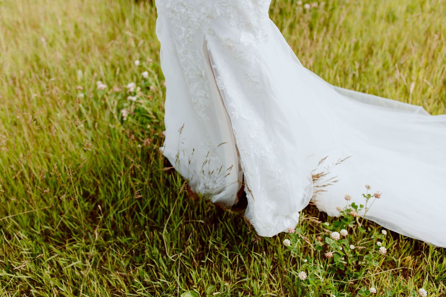 Edmonton wedding