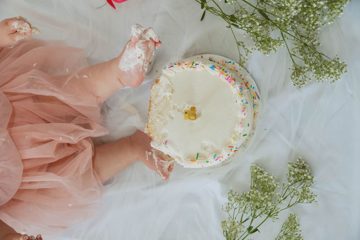 Edmonton family photographer