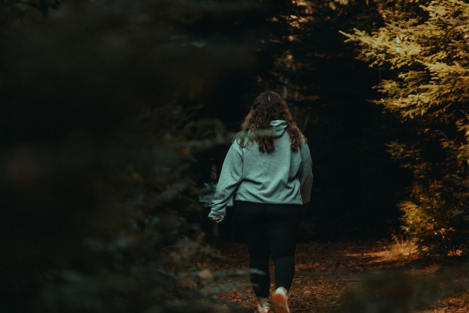 A person in a green sweater walks through a misty autumn forest with golden leaves and atmospheric lighting.