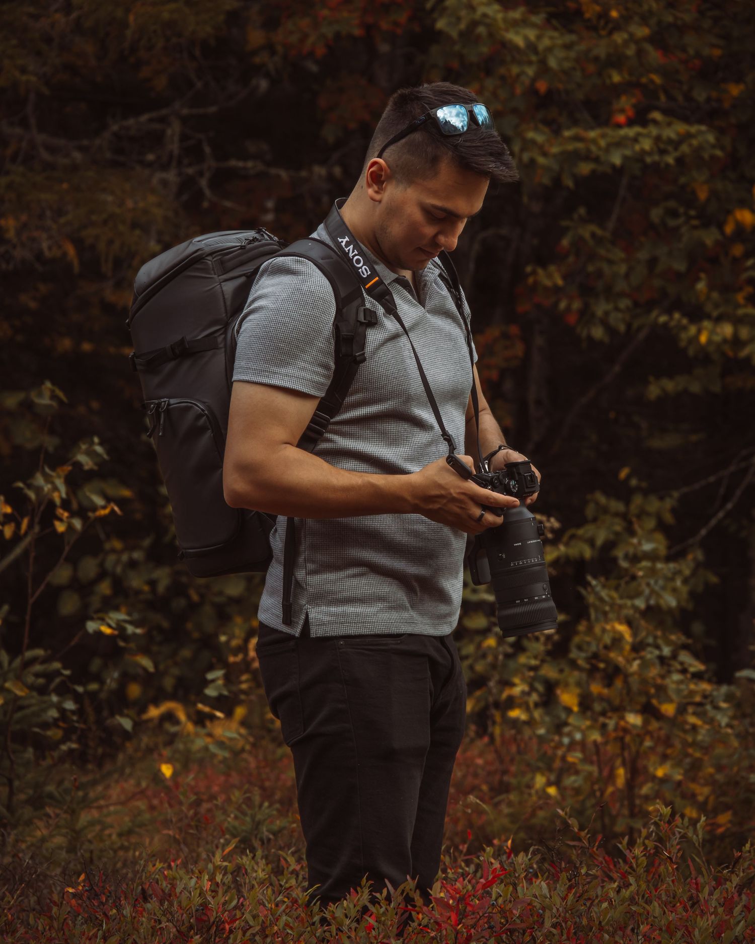 Person in grey shirt and backpack checking their phone while standing in a dark autumn forest with red foliage.