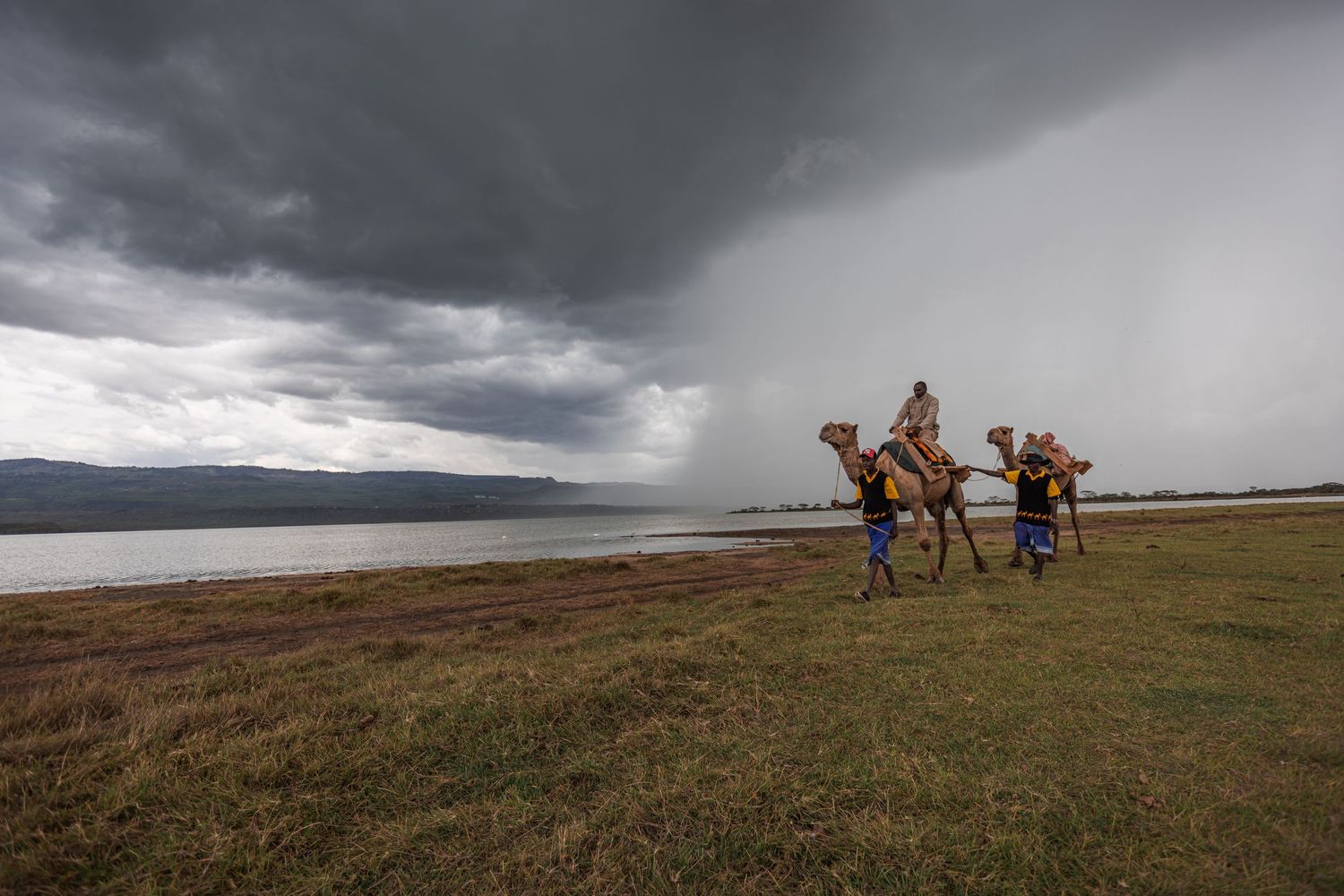 Camel ride in Soysambu conservancy for Mbweha camp