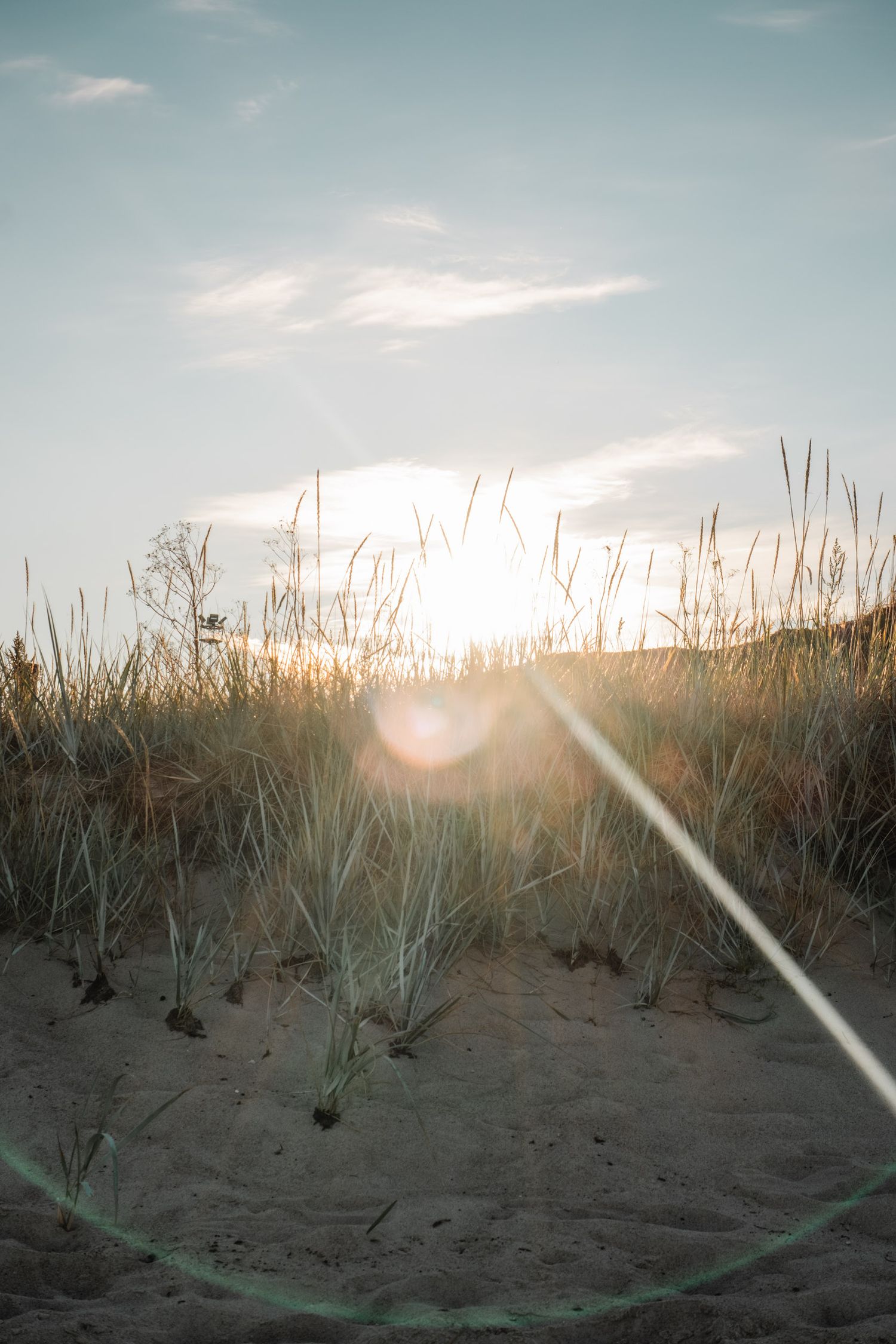 Sunset view through tall grass on a sandy beach with sunbeams breaking through.