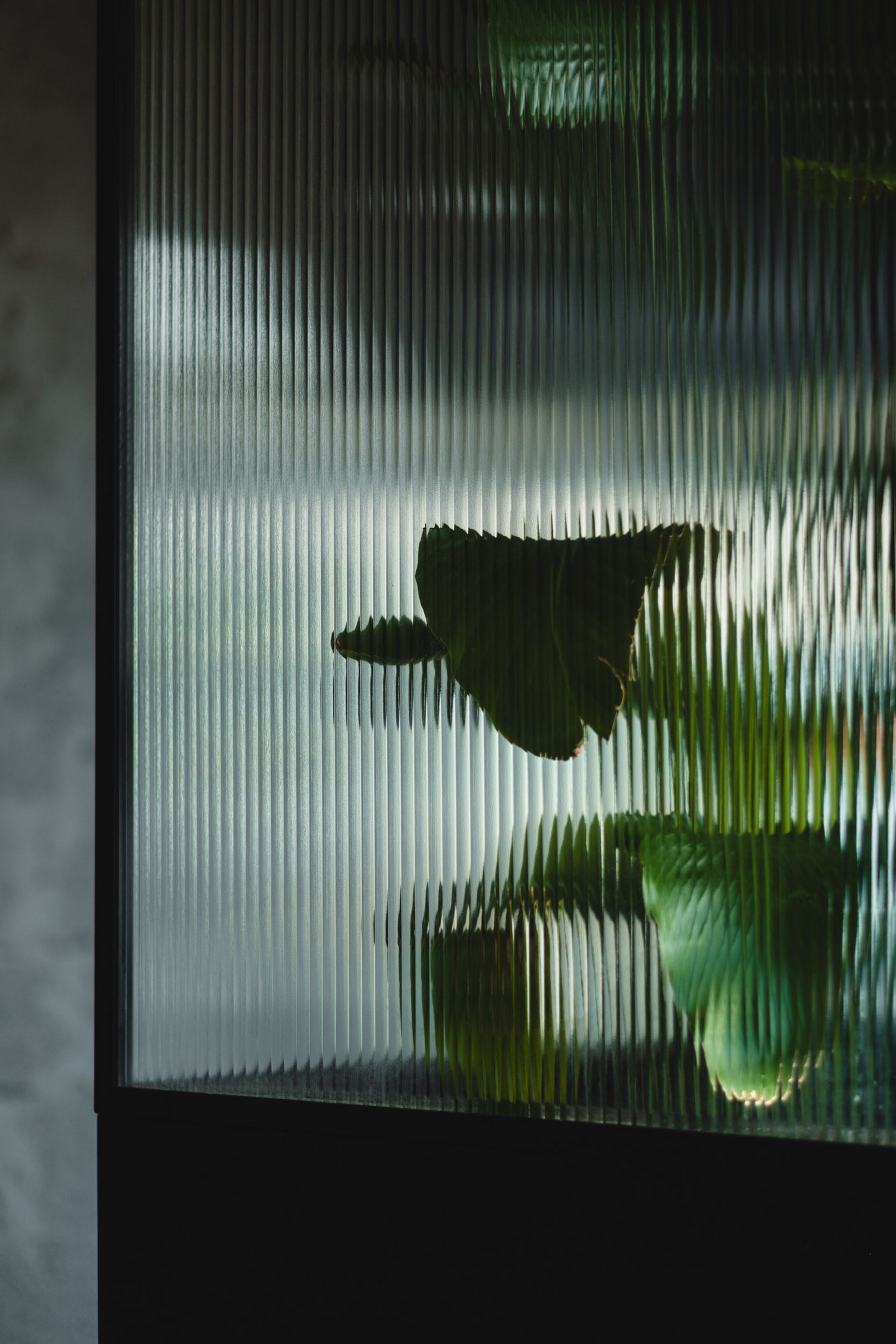Silhouette of plants visible through textured glass creating an abstract pattern.
