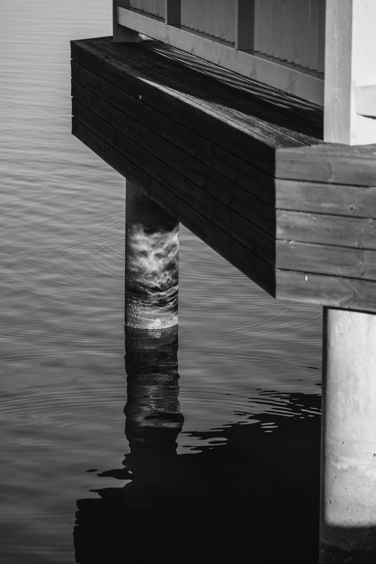 Black and white photograph of a wooden pier support post reflecting in rippled water.