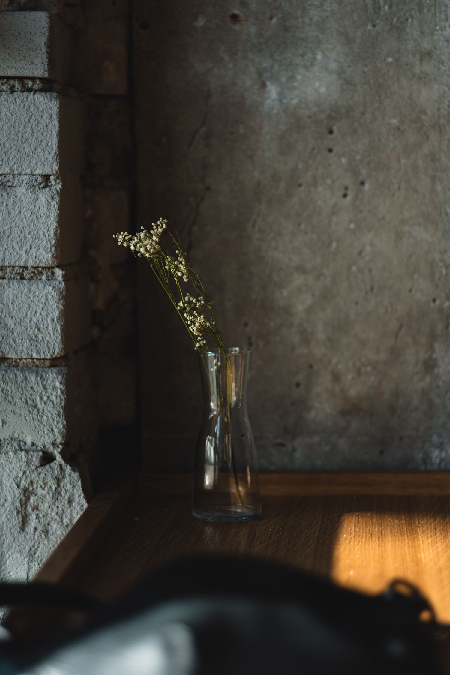 Minimalist vase with delicate flowers against a concrete wall in dramatic lighting.