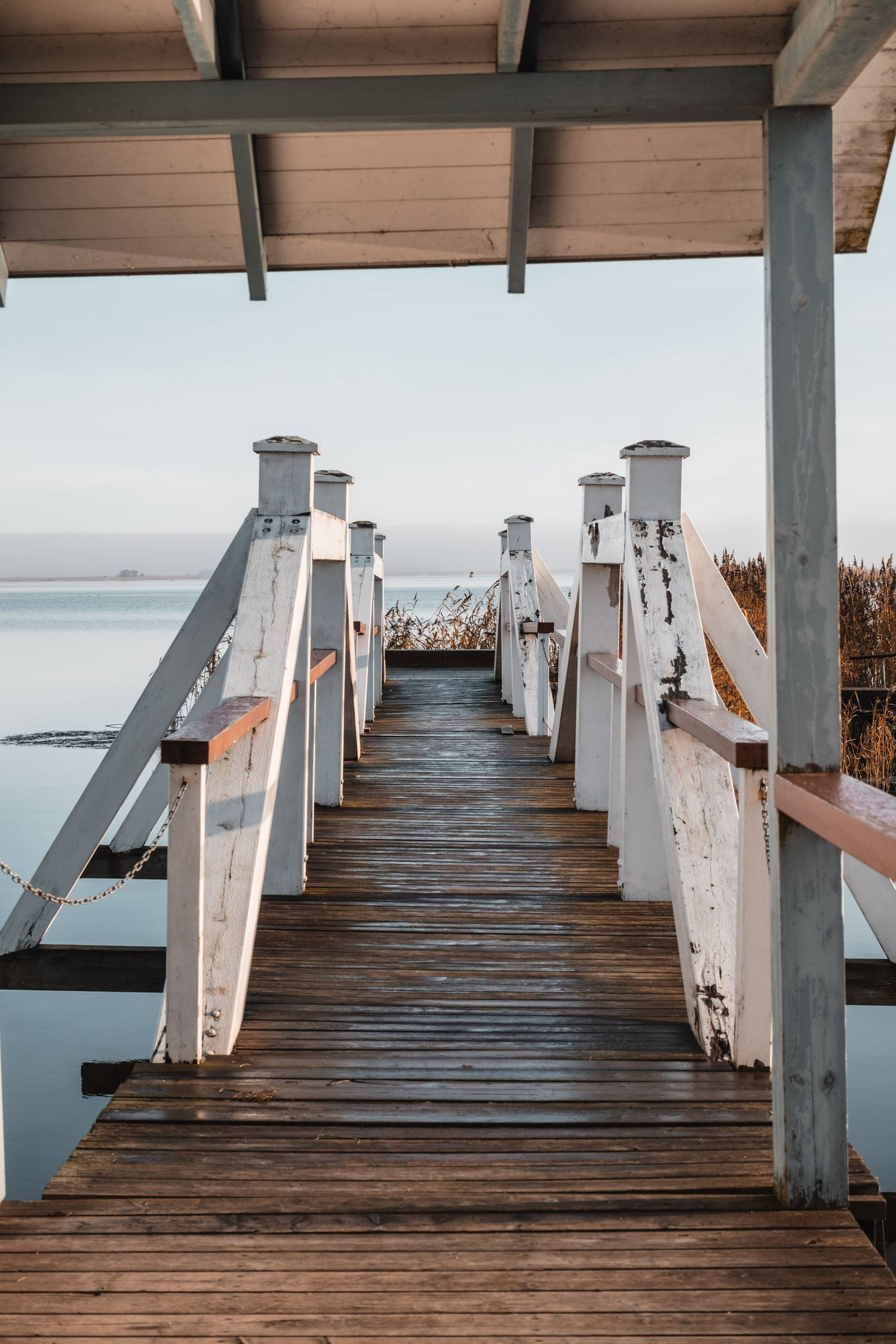 White wooden stairs with railings lead down to a serene waterfront dock.