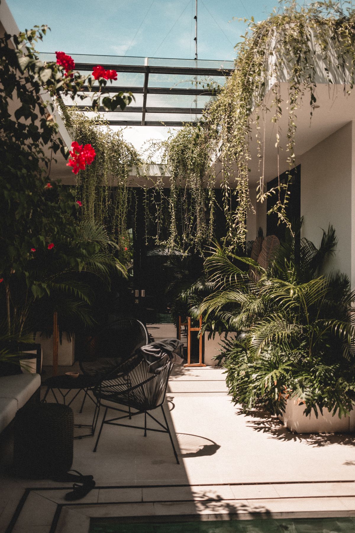 Cozy patio with hanging plants, red flowers and modern furniture creating a tropical atmosphere.