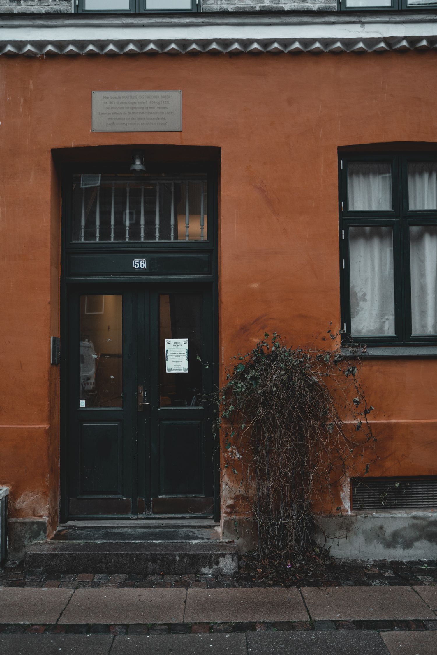 Orange painted building exterior with black doors and bare vines along the facade.