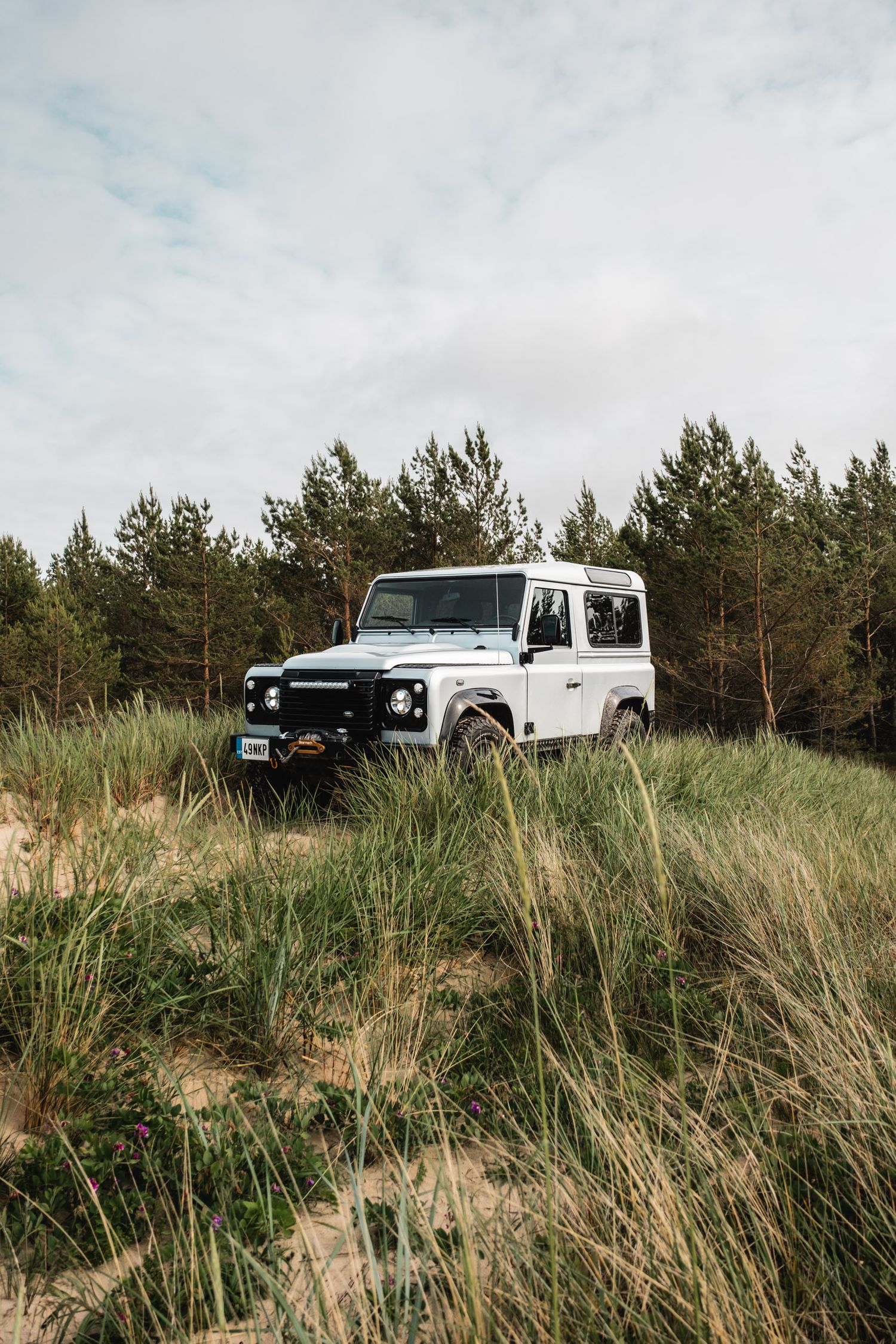 White Land Rover Defender driving through tall grass with pine trees in background.