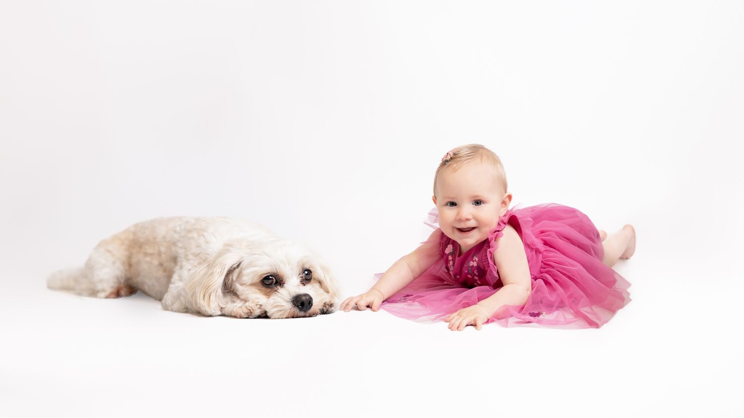 Baby in pink clothing lying on white backdrop with fluffy pet dog.