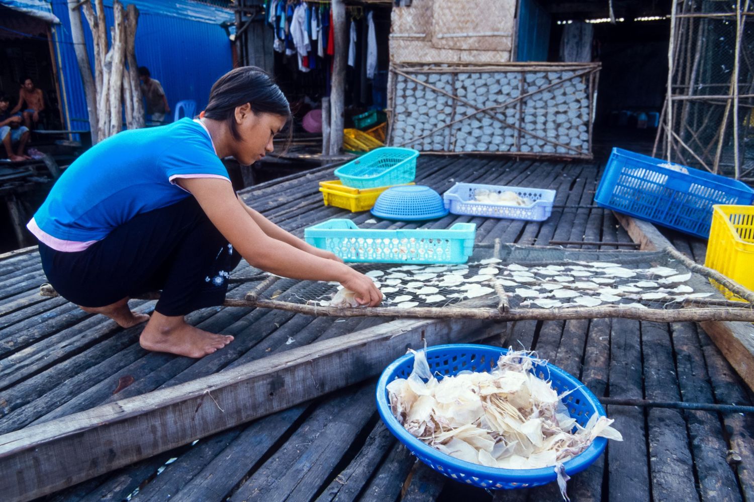 Fresh fish being prepared and sorted on wooden docks by fishermen.