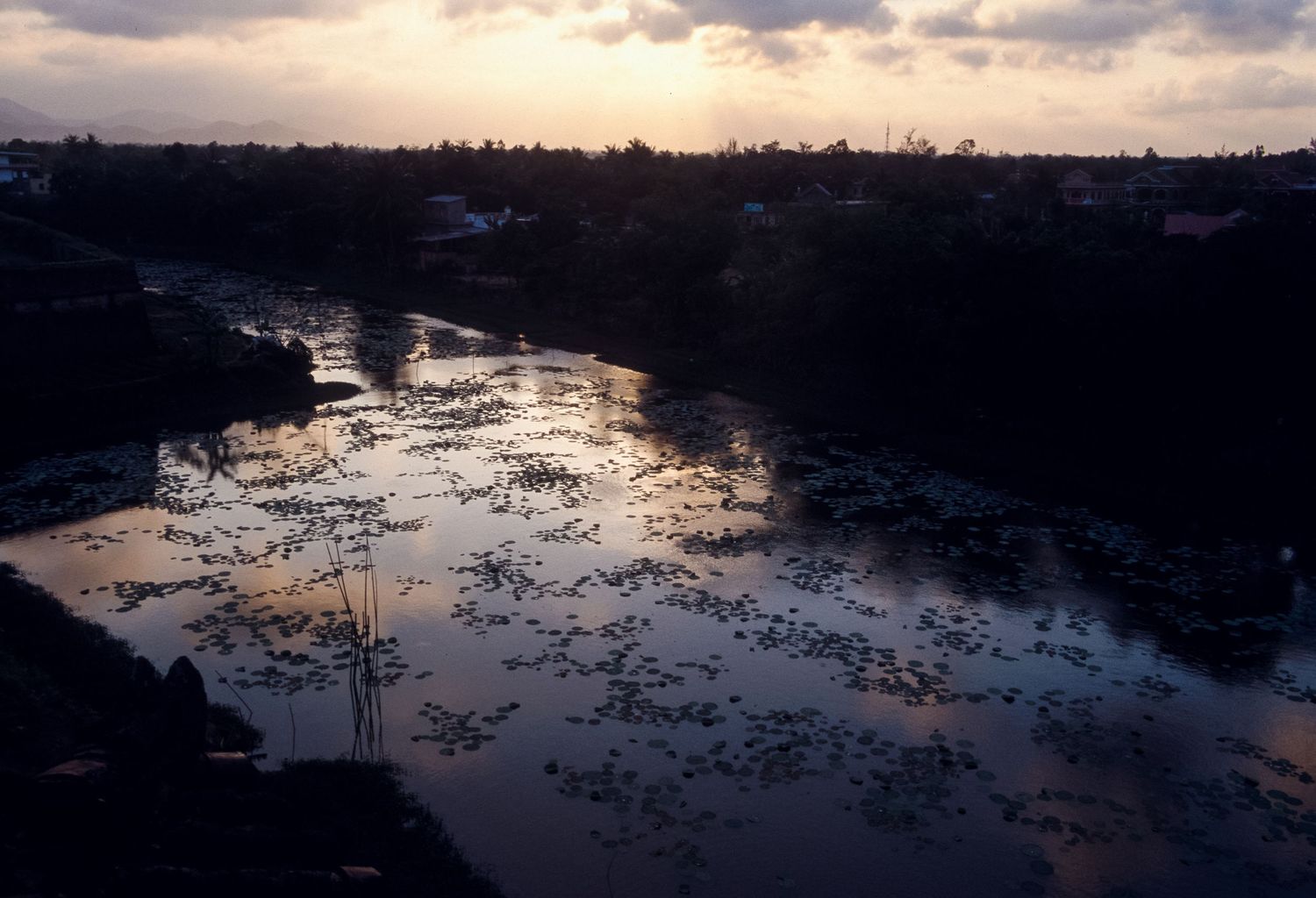 Dramatic sunset reflection over a tranquil wetland landscape.
