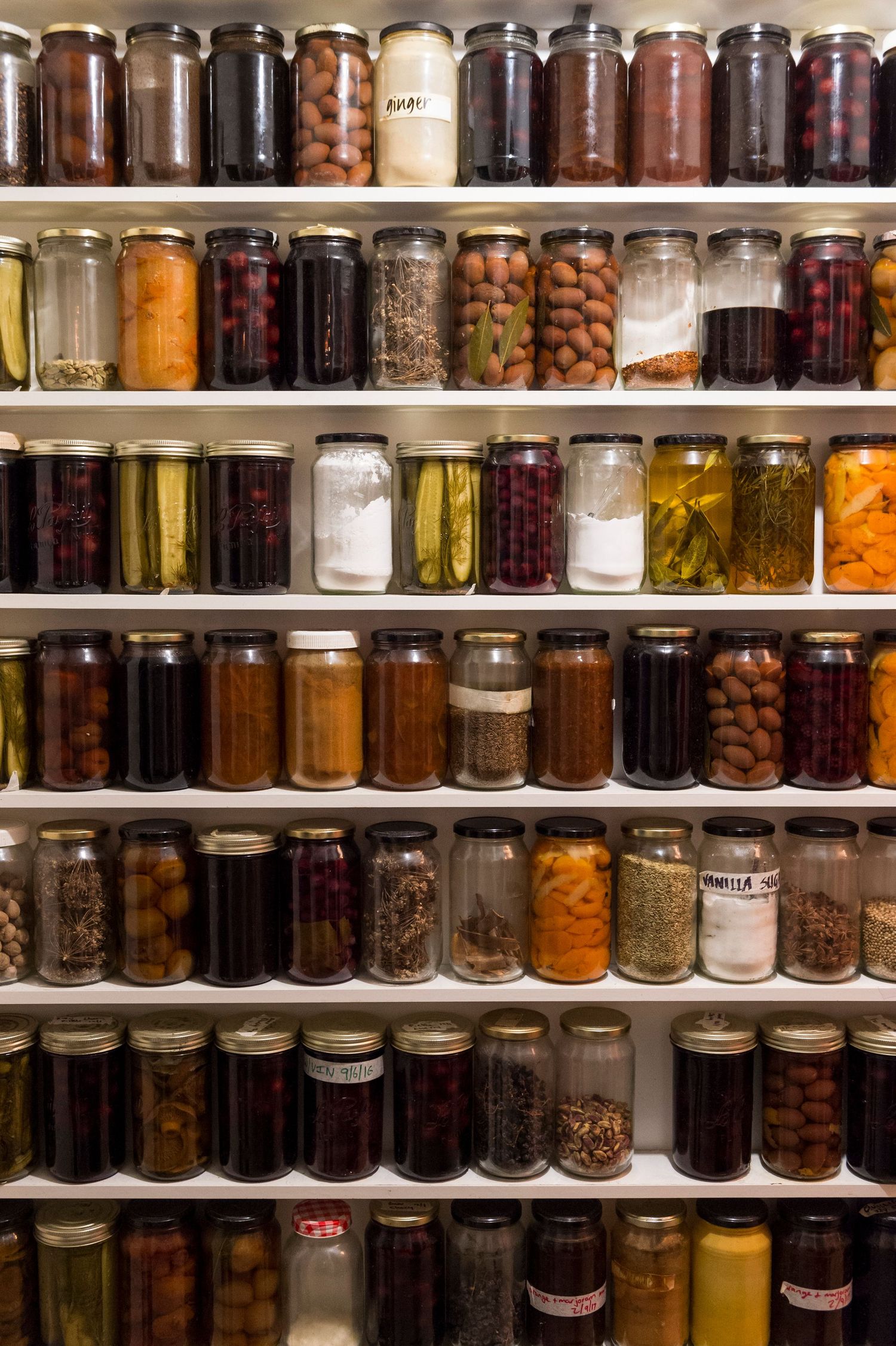Rows of preserved ingredients and pickled foods stored in glass jars on wooden shelves.