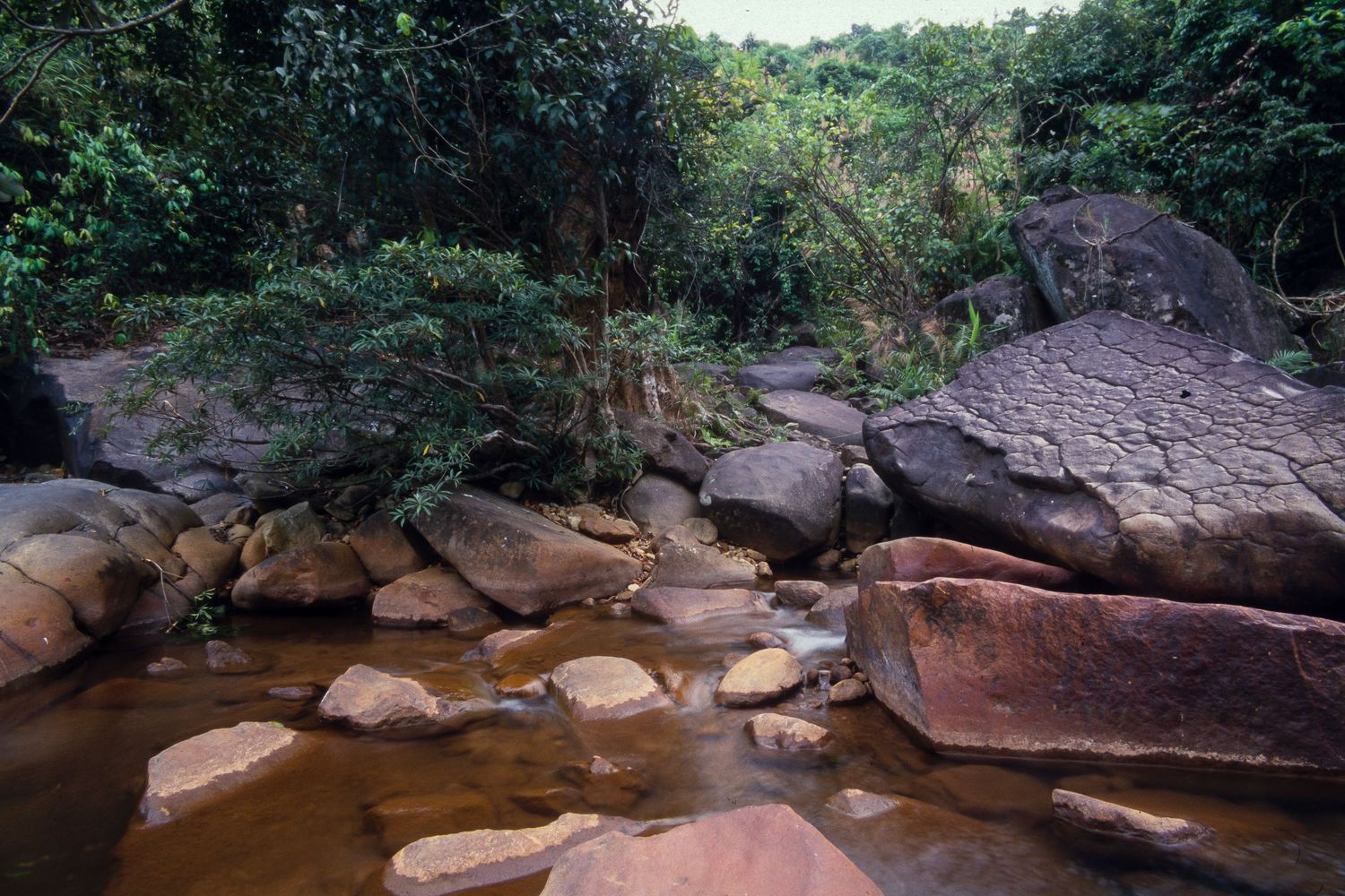 Scenic river landscape with rocky shores and lush green forest surroundings.