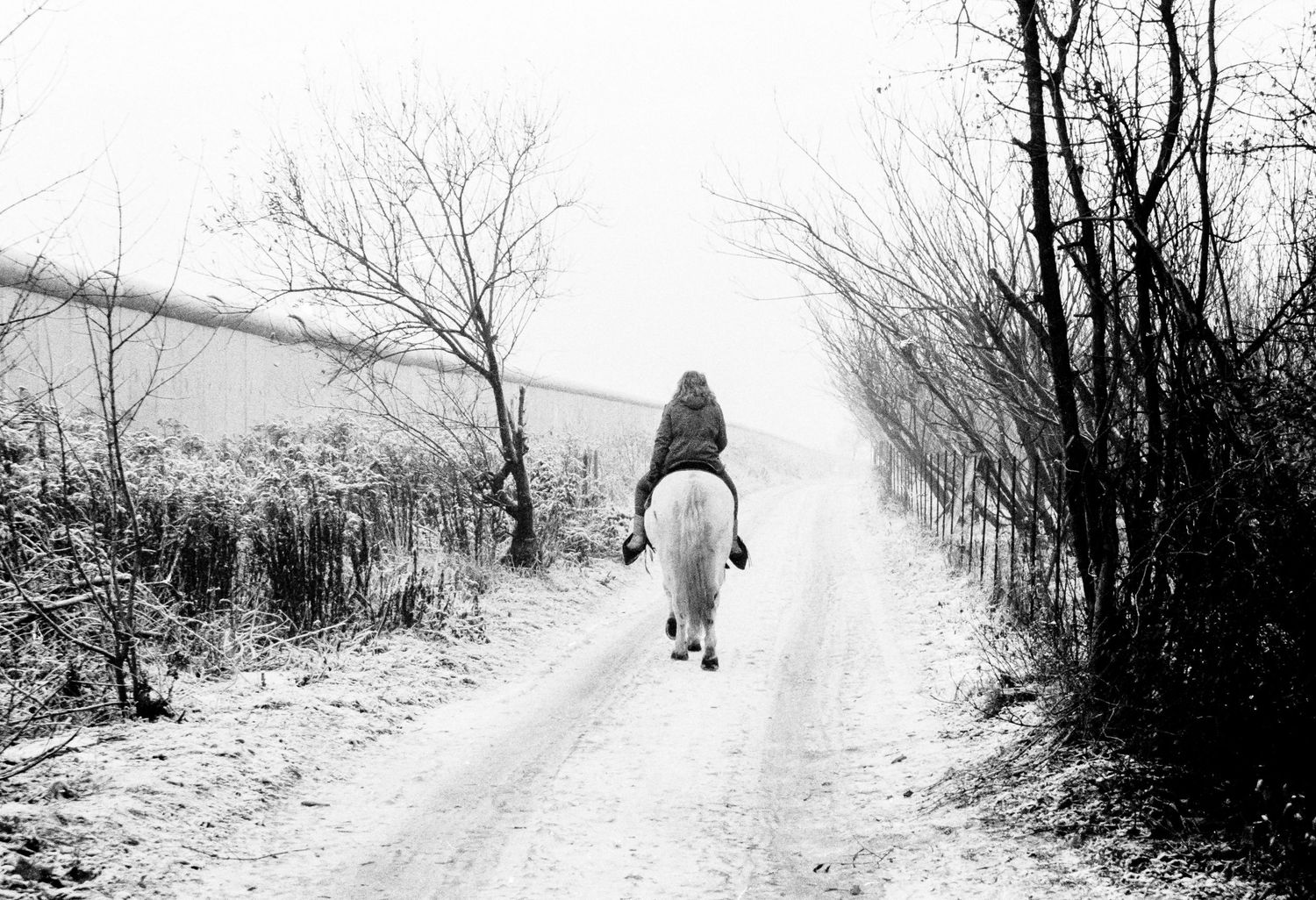 Berlin Wall 1989, riding a horse on the borderlines.