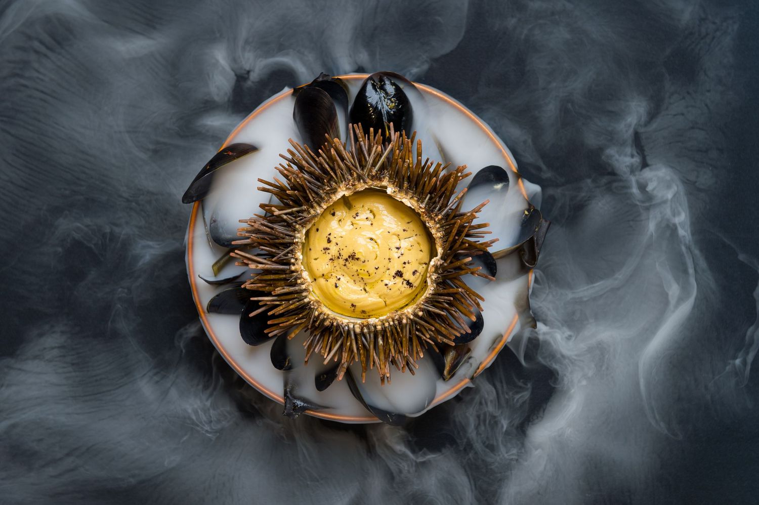 Artistic plating of golden dishes surrounded by dramatic smoke effects on dark plates.