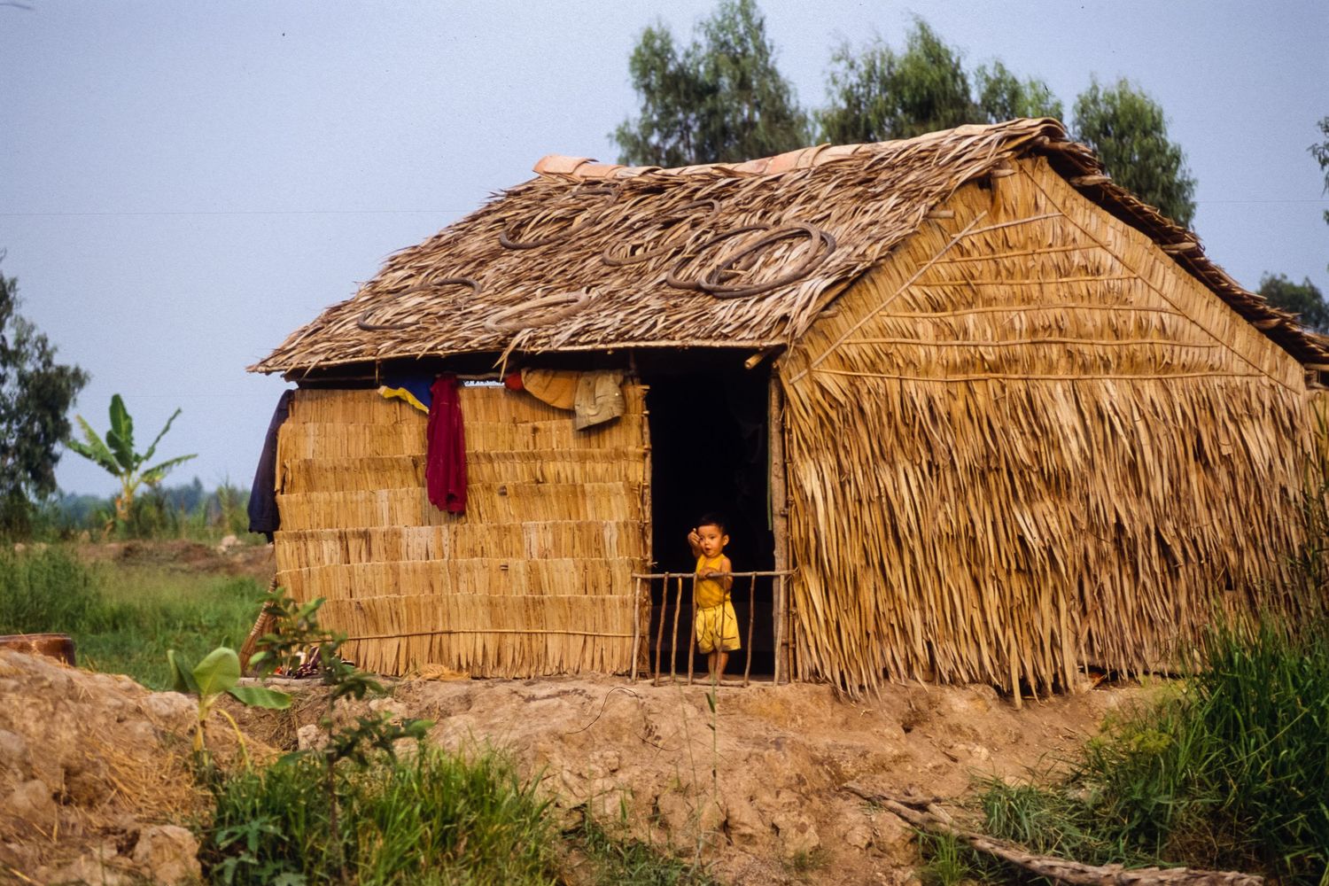 Row of traditional thatched-roof huts in a rural village setting.