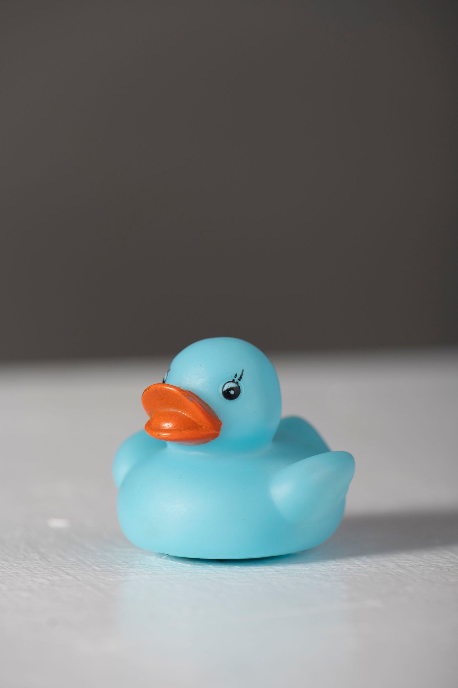 A blue rubber duck toy photographed from different angles on a white surface in a minimalist style.