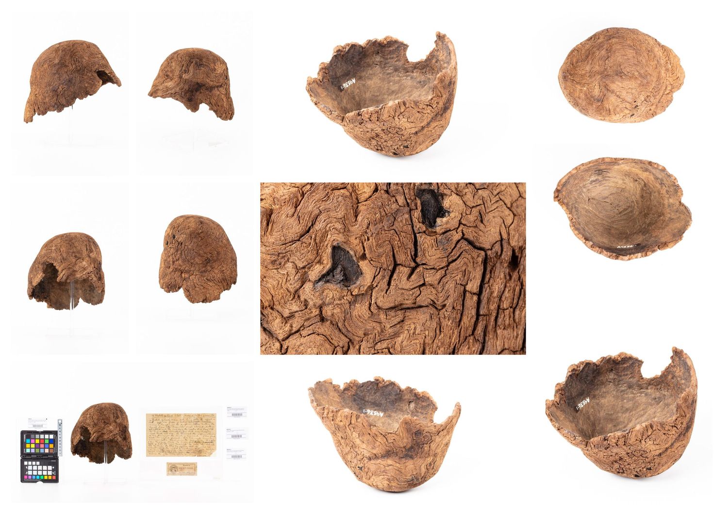 Powerhouse museum collection object No. A9536 circa 1850. Wooden hat or water container, constructed from the burl or knot of a box tree.