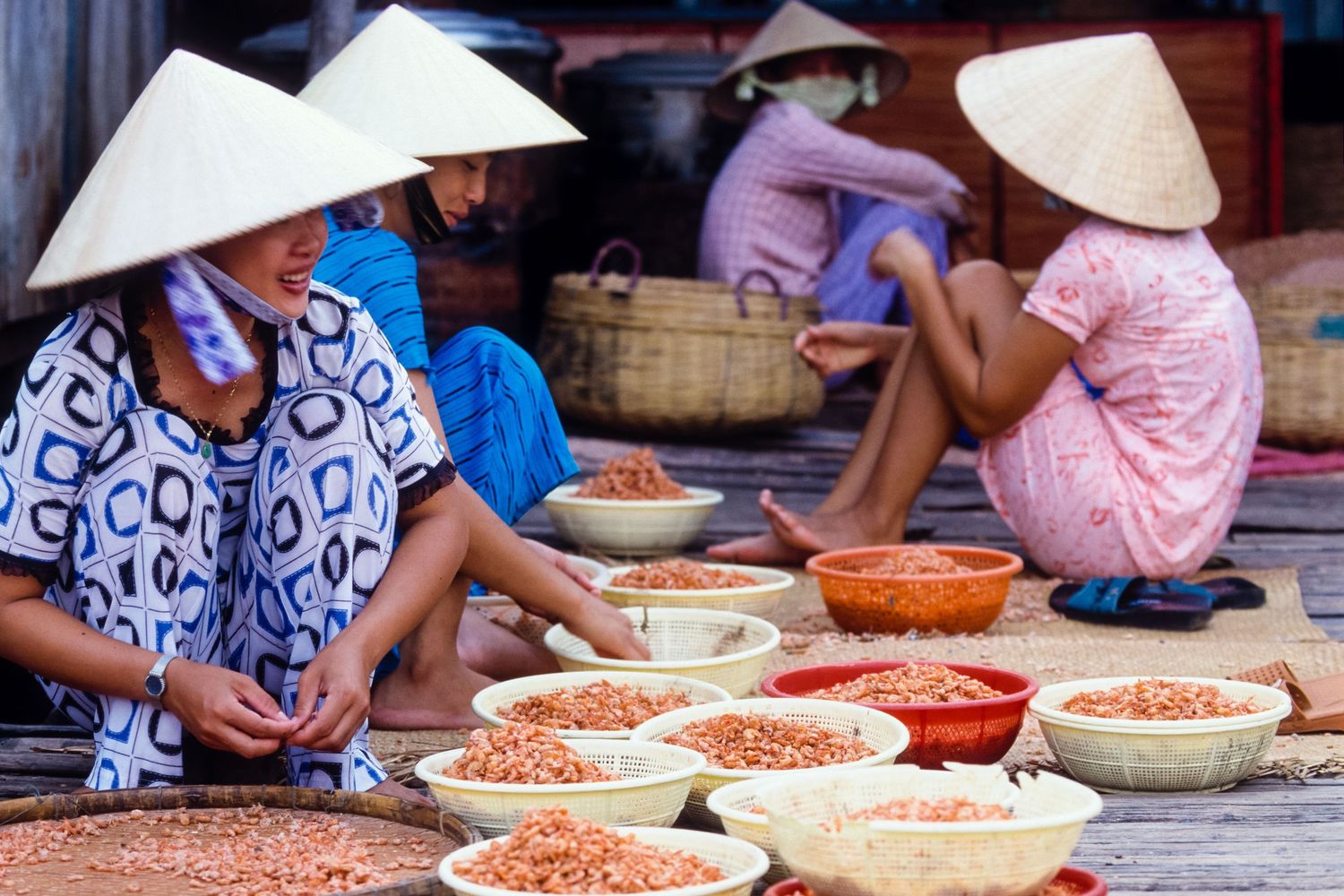 Local workers sorting and processing fresh red peppercorns in traditional conical hats.