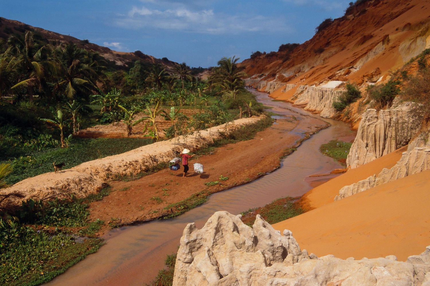 Winding red dirt road through dramatic coastal cliffs and tropical vegetation.