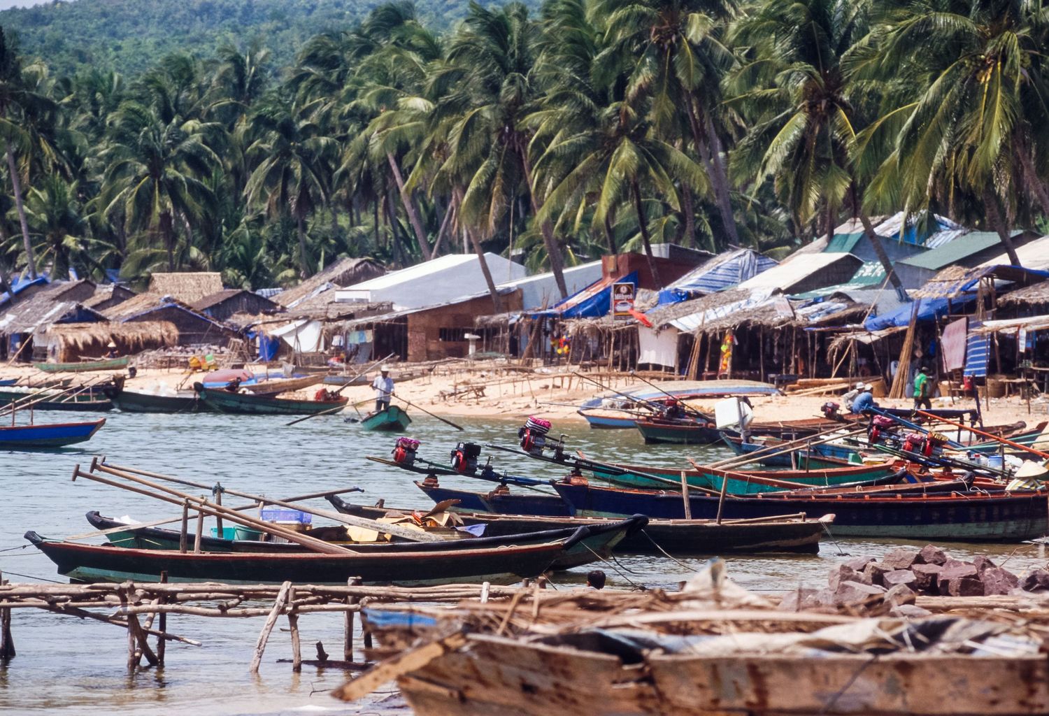 Tropical beach scene with wooden boats and palm trees along the shoreline.