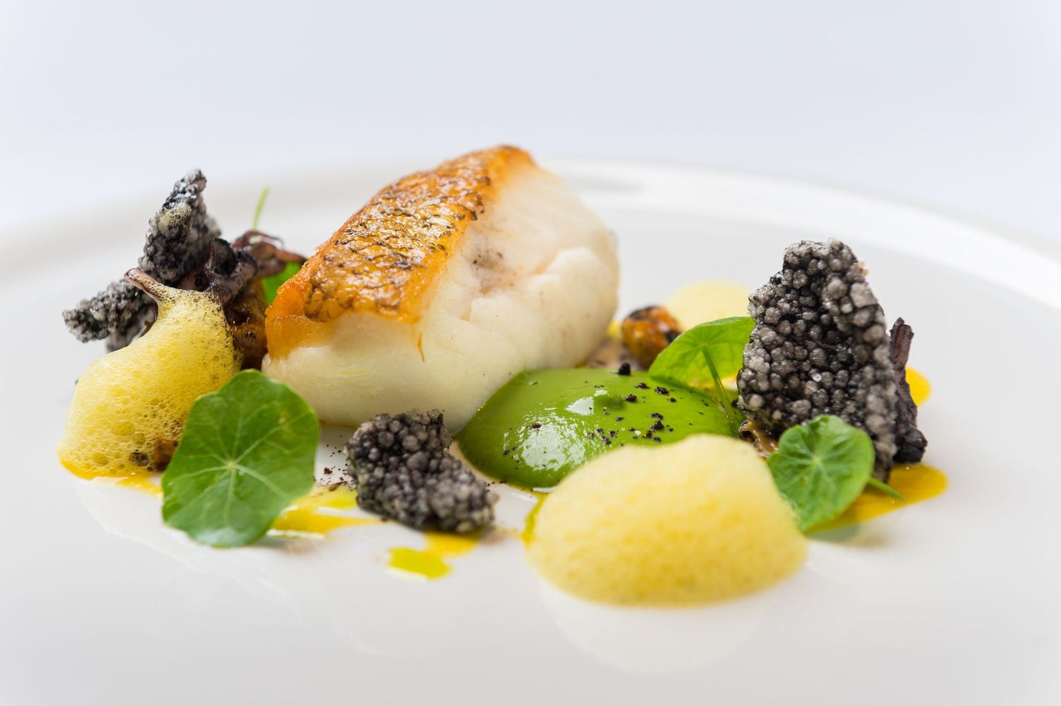 Fine dining dish with caviar and microgreens plated in an elegant linear composition.