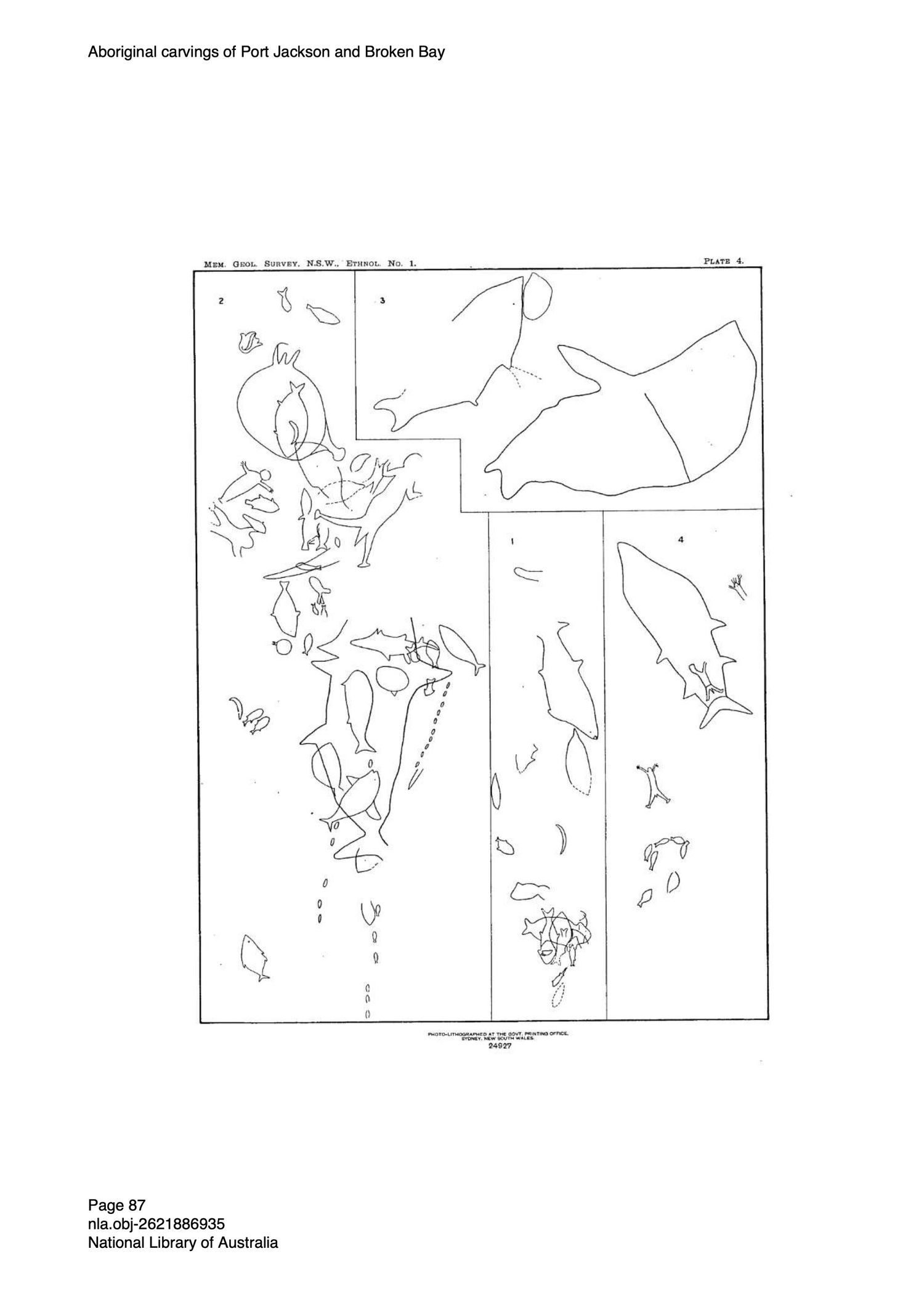Black and white map sketch showing survey of Aboriginal Rock Engraving Port Jackson and Broken Bay region.