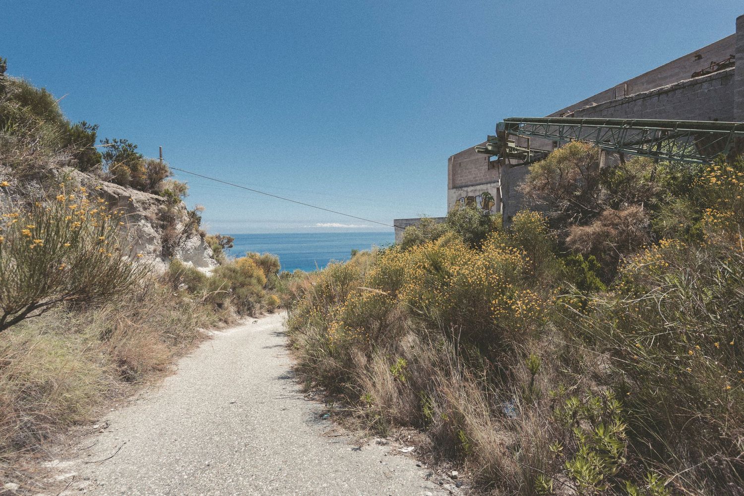 A winding coastal path leads down to ocean views with coastal vegetation and buildings along the trail.