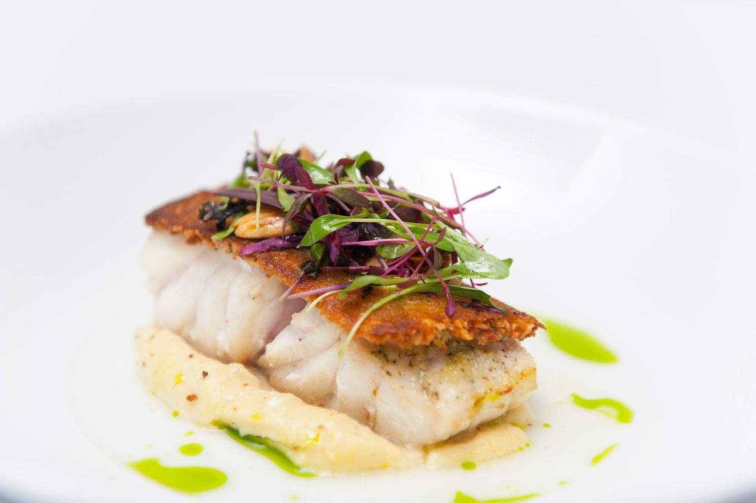 Pan-seared white fish fillet garnished with microgreens and sauce on elegant white plate.