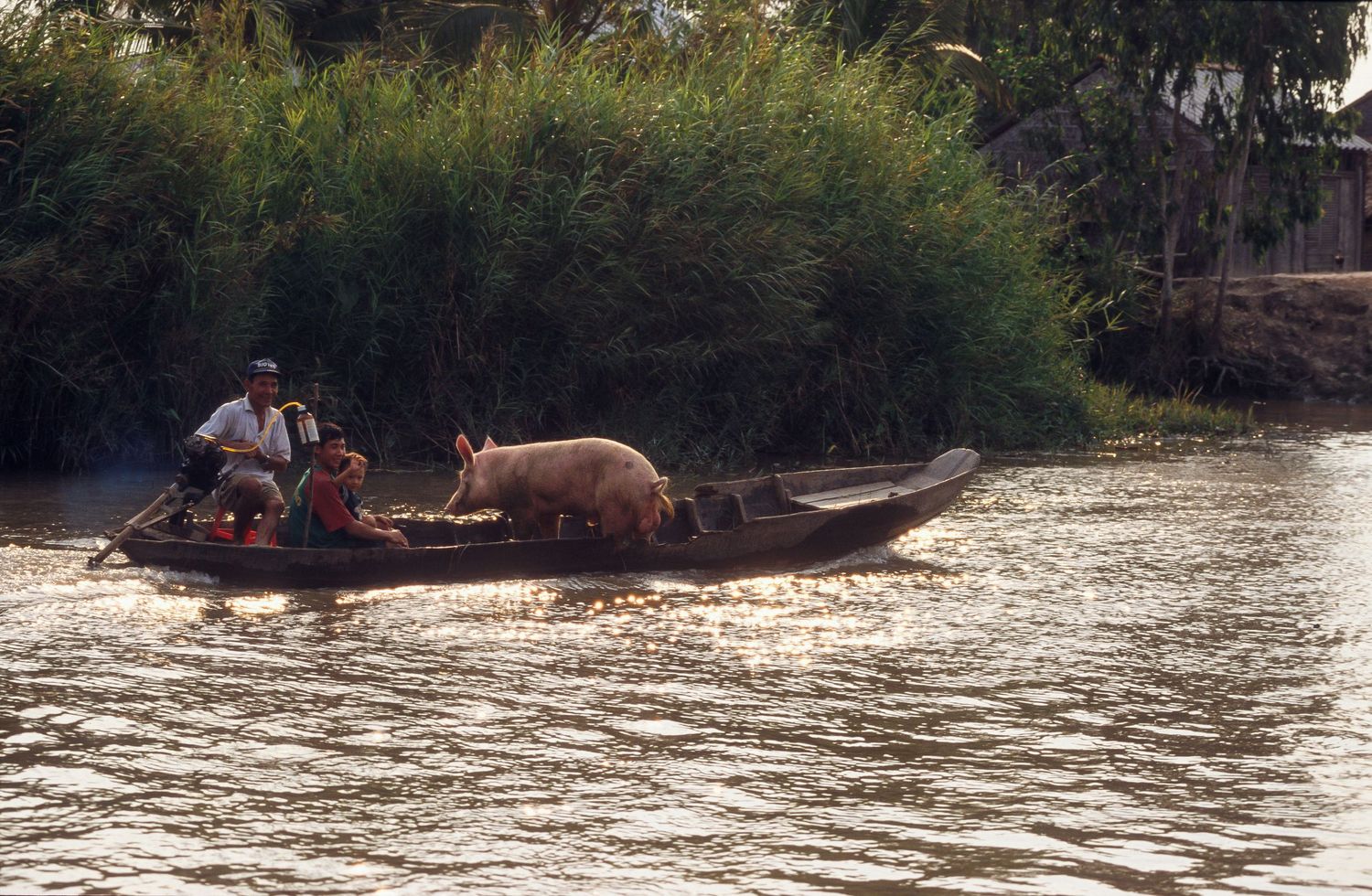 Traditional wooden boats traverse muddy river waters surrounded by dense tropical vegetation.