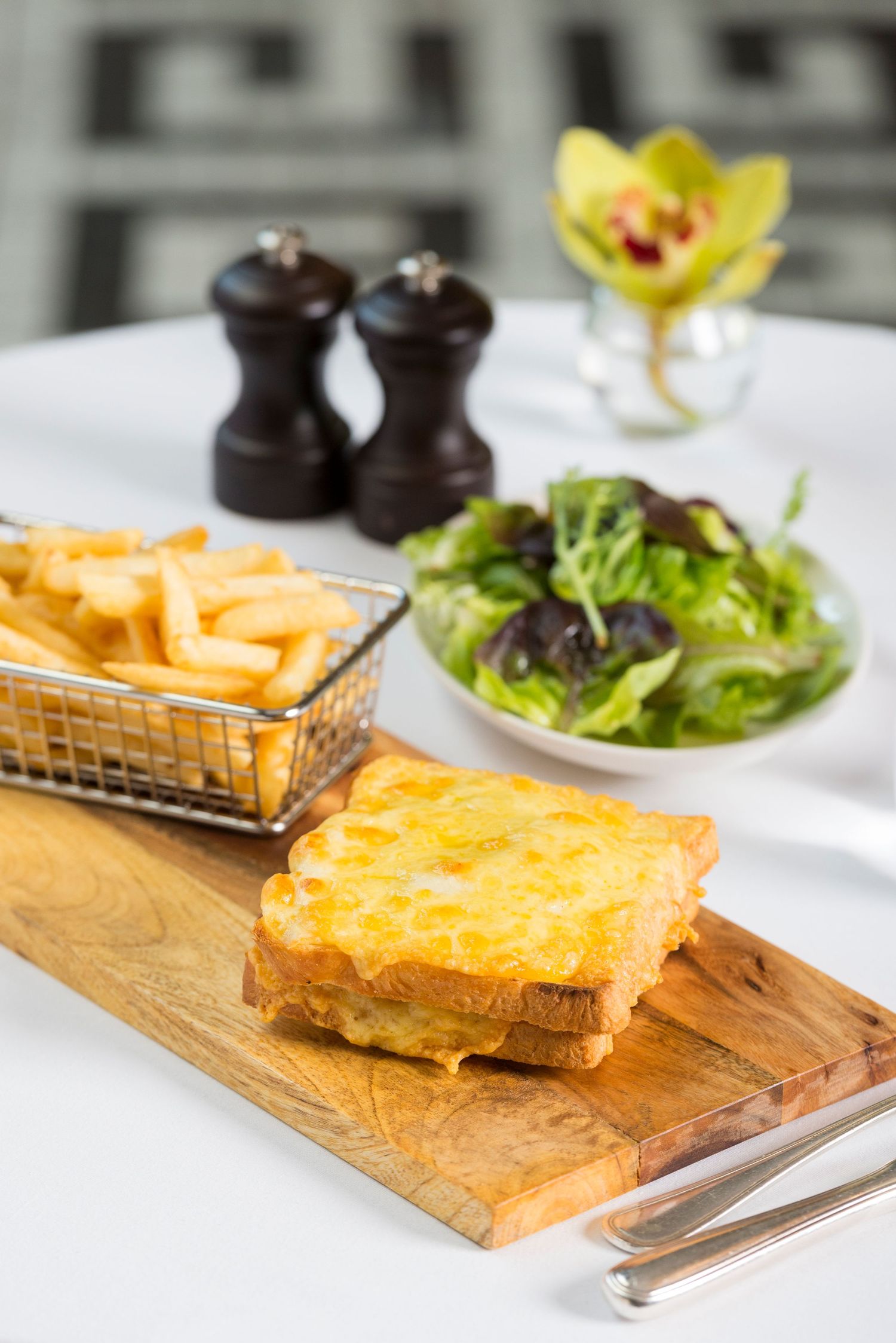 Grilled cheese sandwich on wooden board with side salad and french fries in wire basket.