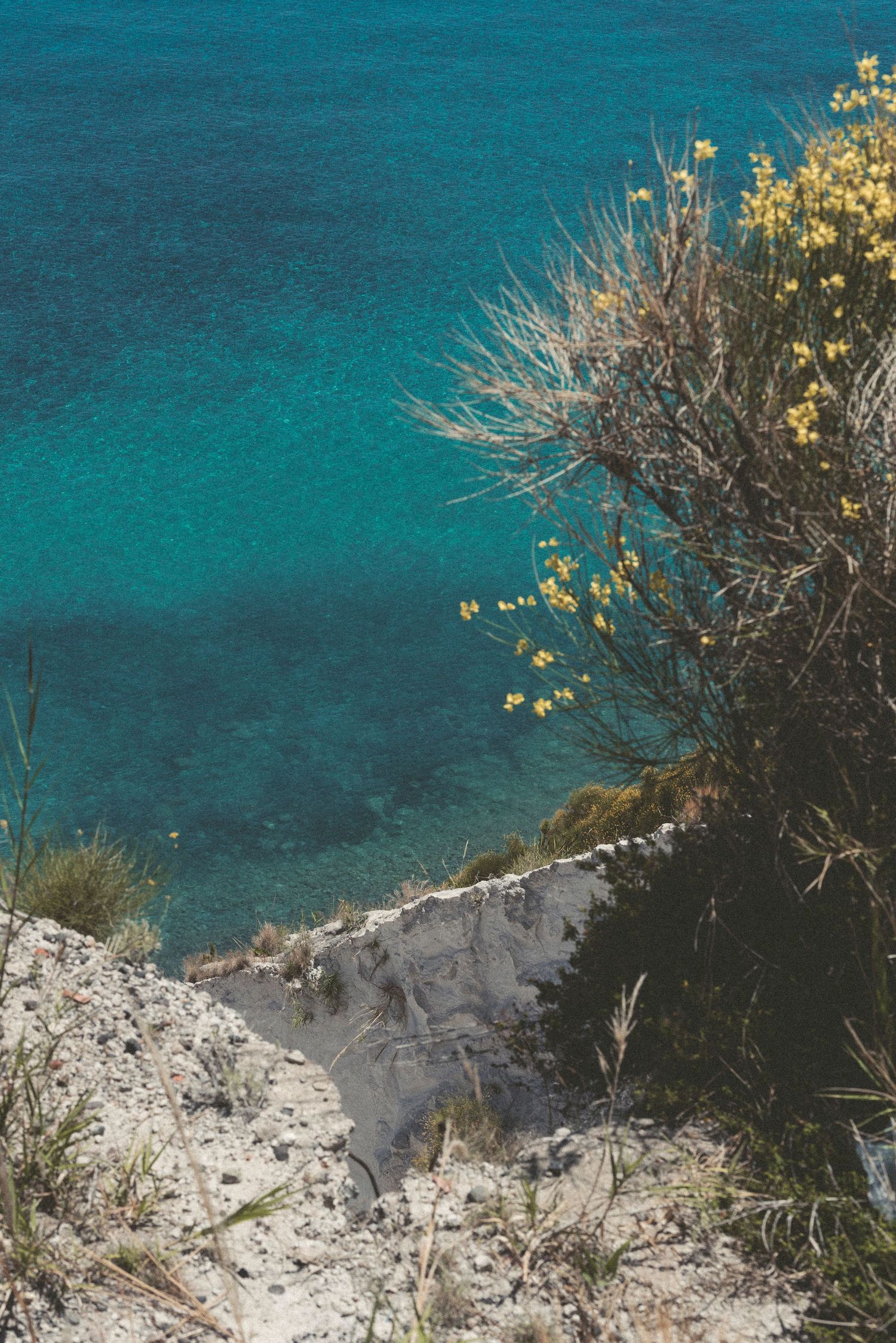 Aerial view of turquoise Mediterranean waters meeting white limestone cliffs with sparse yellow flowers and vegetation.