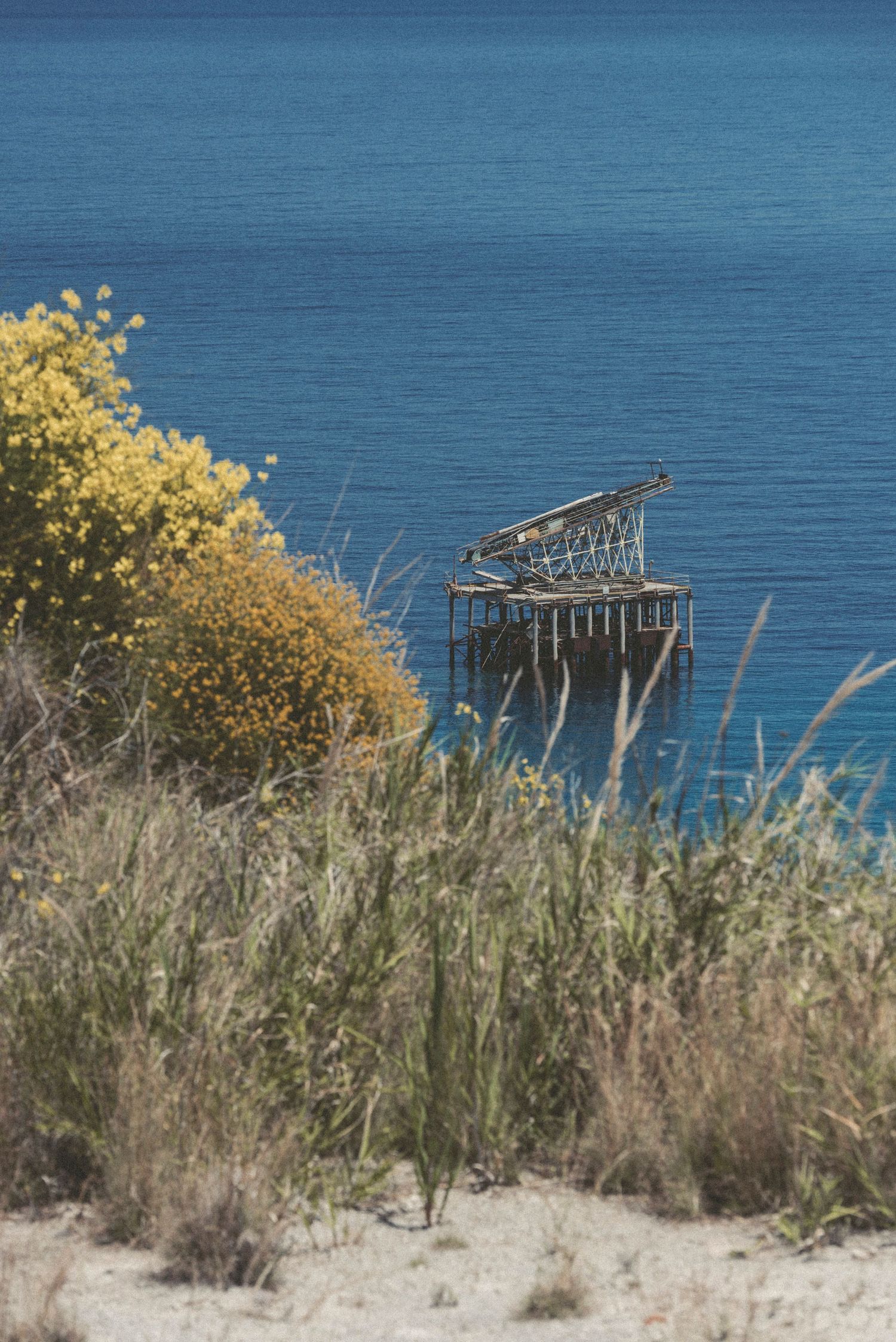 An old wooden pier structure extends into blue ocean waters, with yellow wildflowers and dry grass on the coastal bluff.