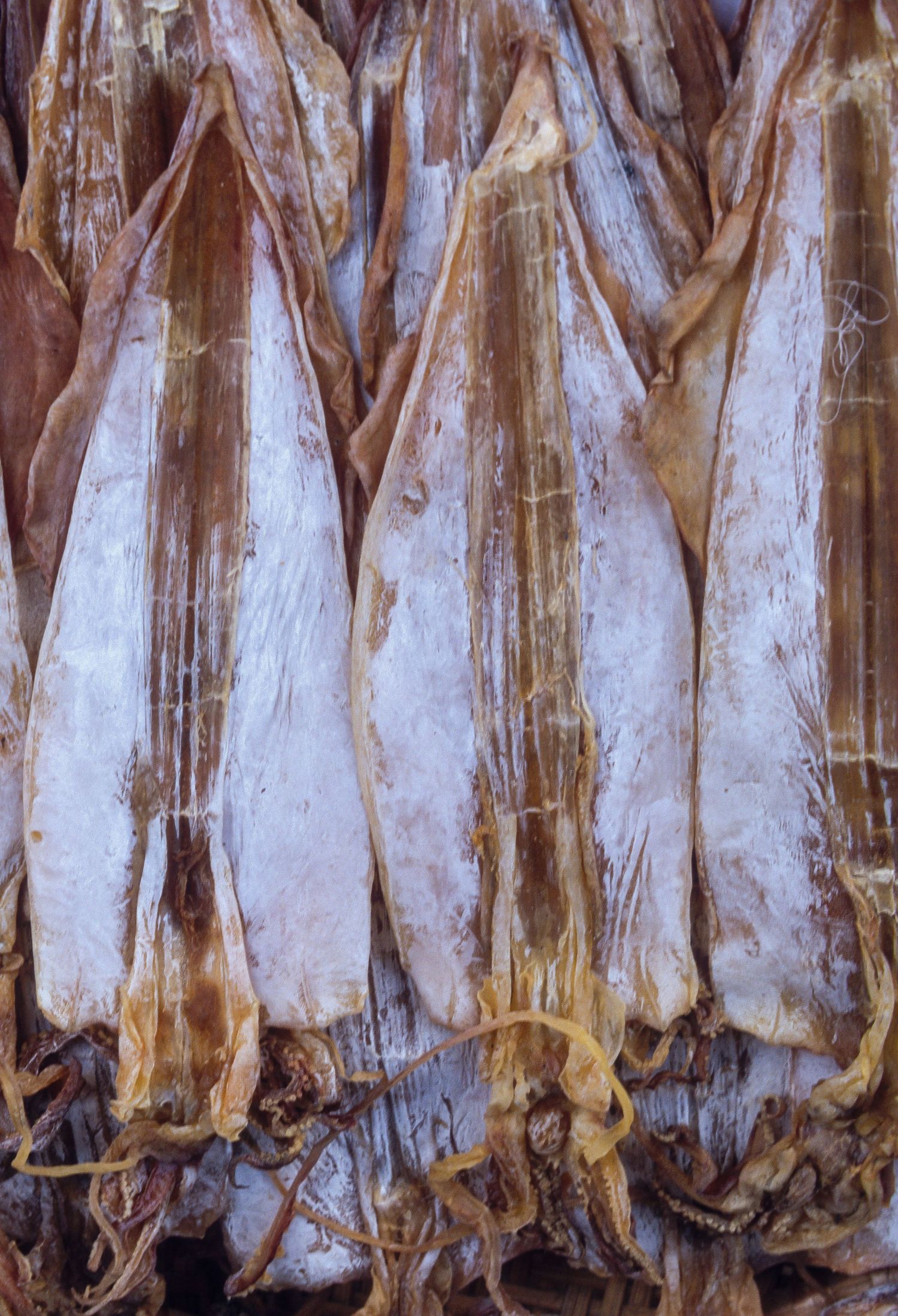 Rows of dried white fish hanging to preserve in a traditional Asian market.
