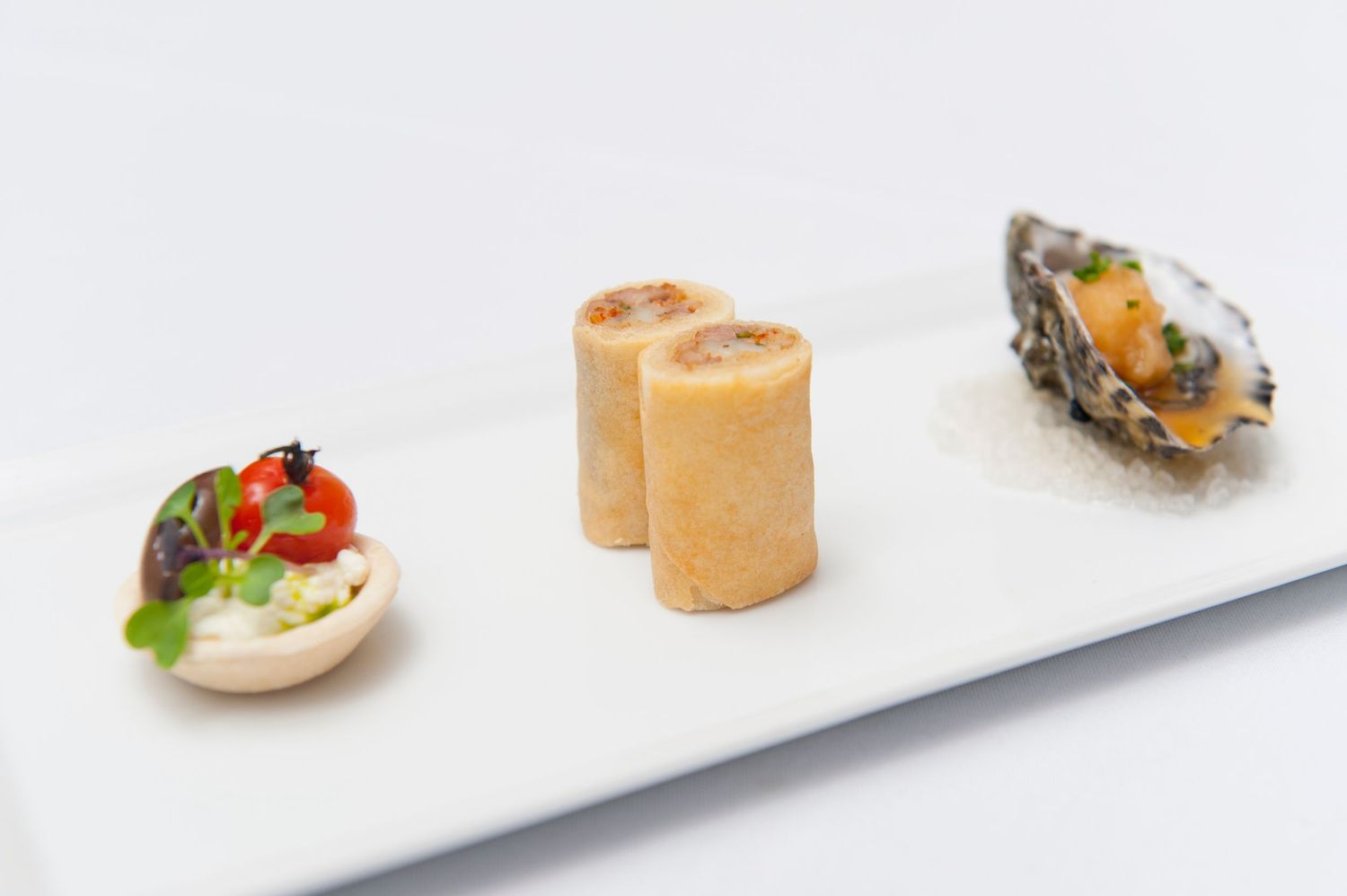 Assorted small appetizers and canapes arranged in a line on white rectangular plates.