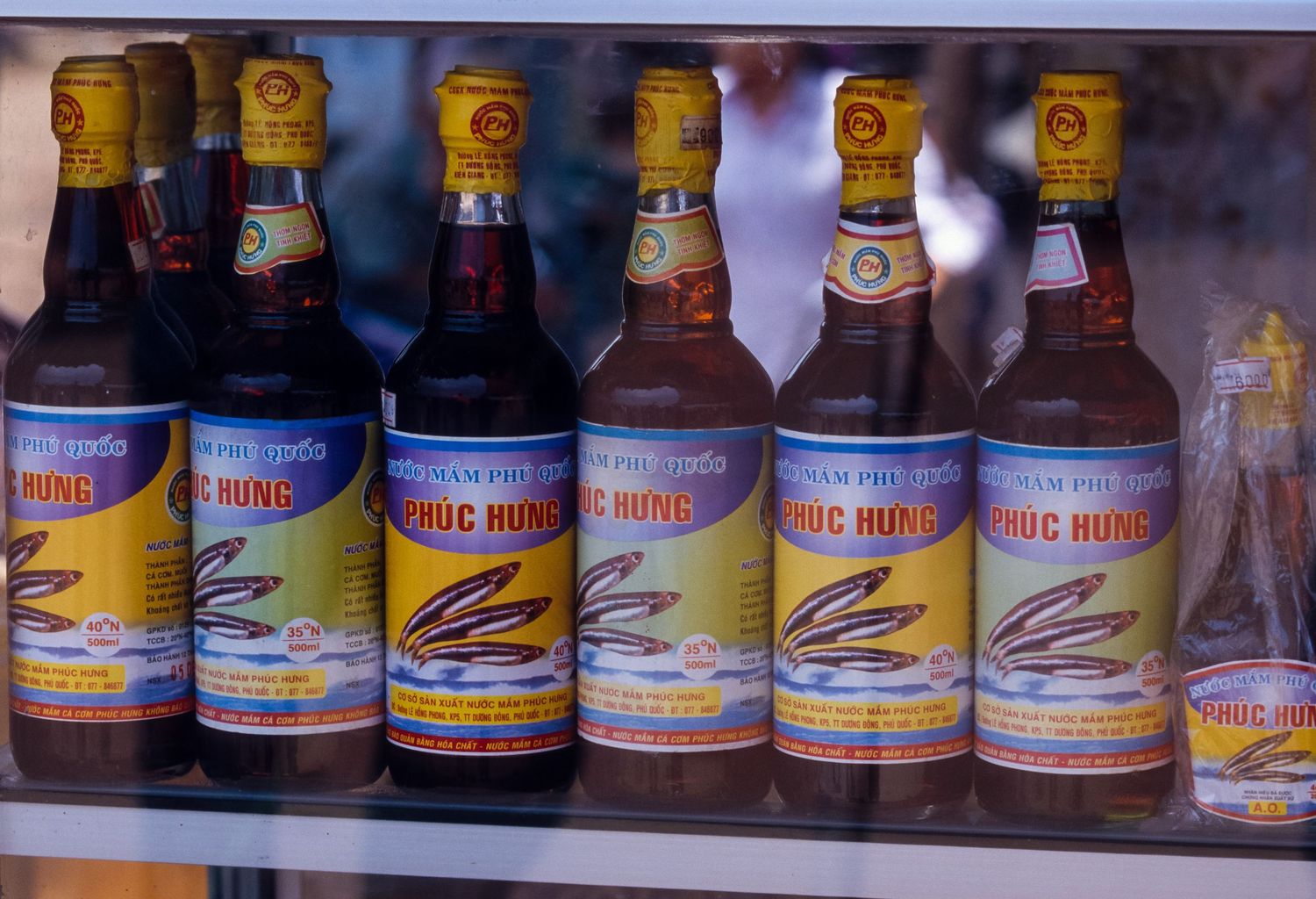 Row of vintage beer bottles lined up on a shelf with yellow labels.