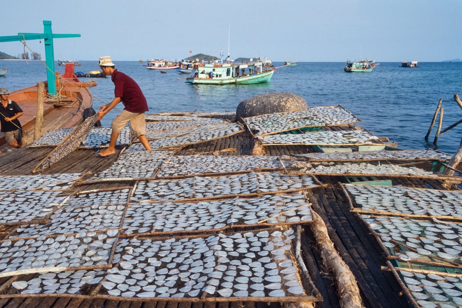 Rows of fish drying in the sun on wooden racks at a seaside market.