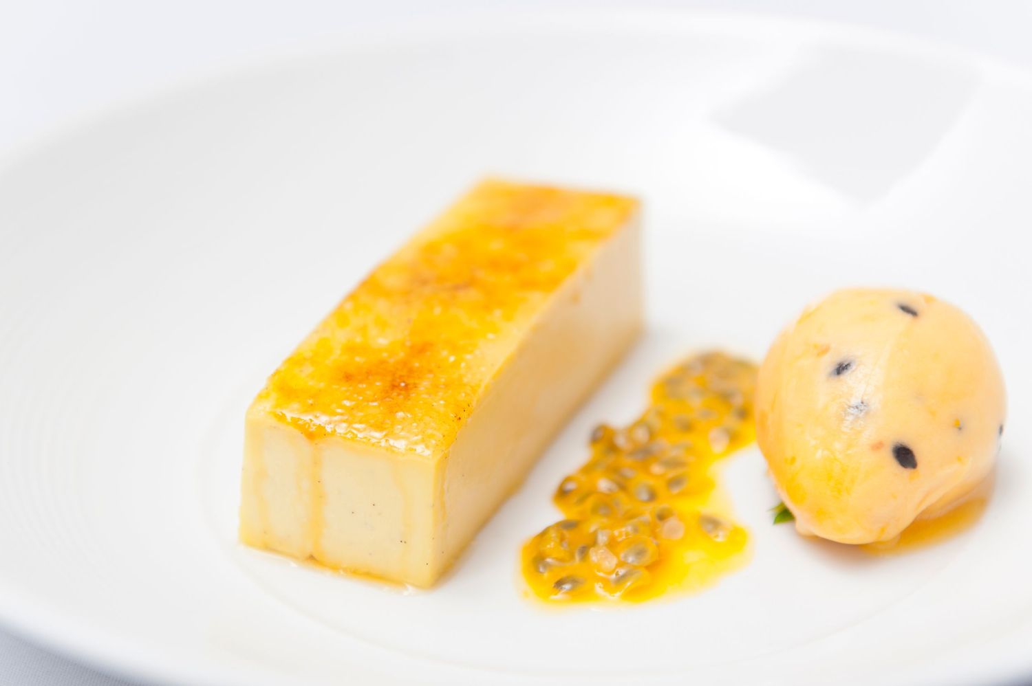 Yellow custard or cheese dish with passion fruit sauce elegantly plated on white dish.