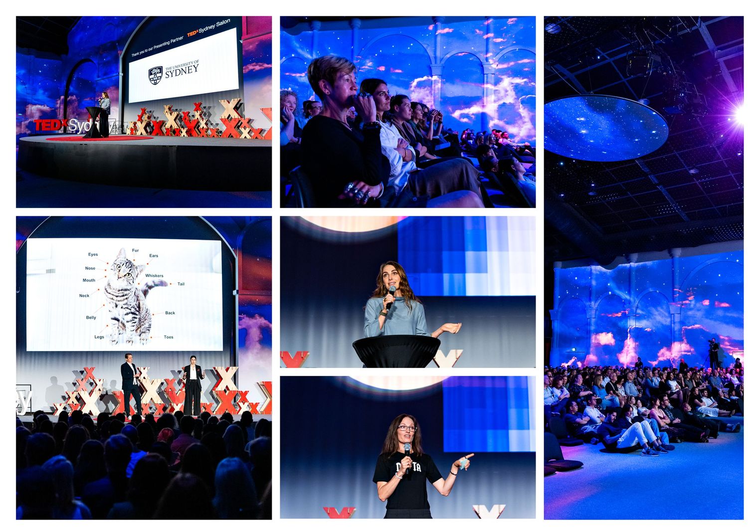 Collage of conference event photos featuring speakers on stage, large screens, and engaged audience members in a blue-lit venue.