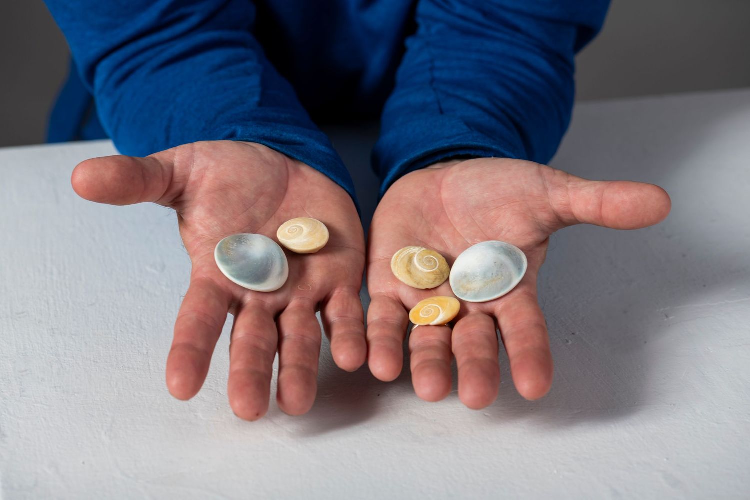 Multiple coins being displayed on outstretched hands in sequential demonstration photos.
