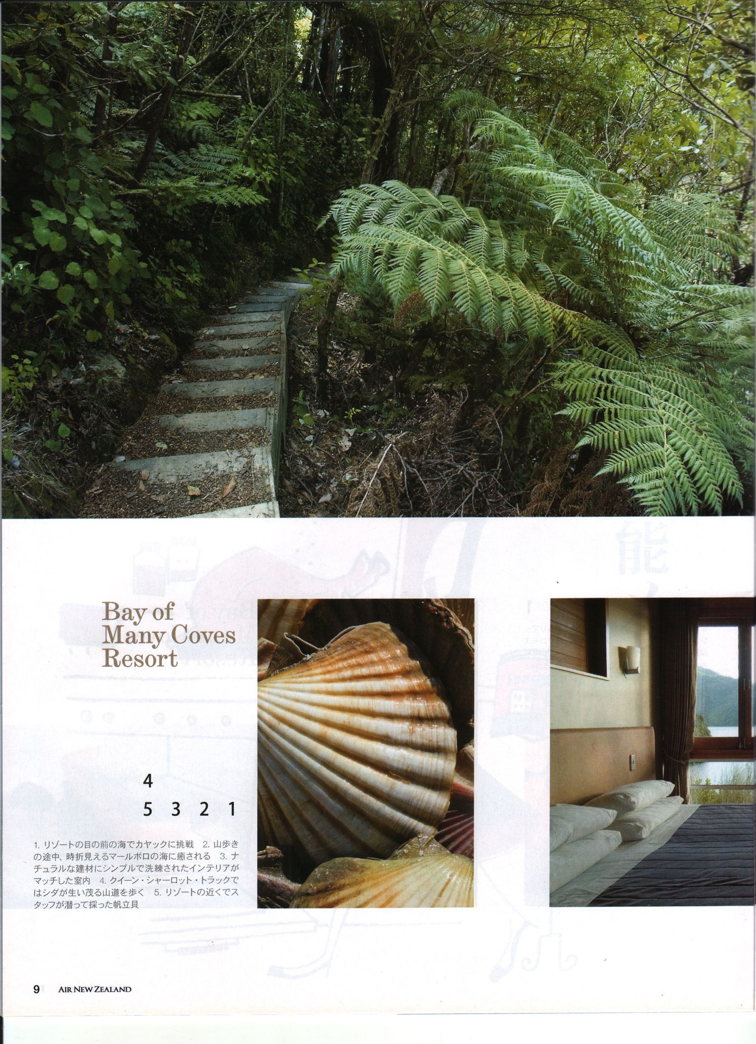 Serene forest pathway with stone steps leading through lush green ferns at a luxury resort.