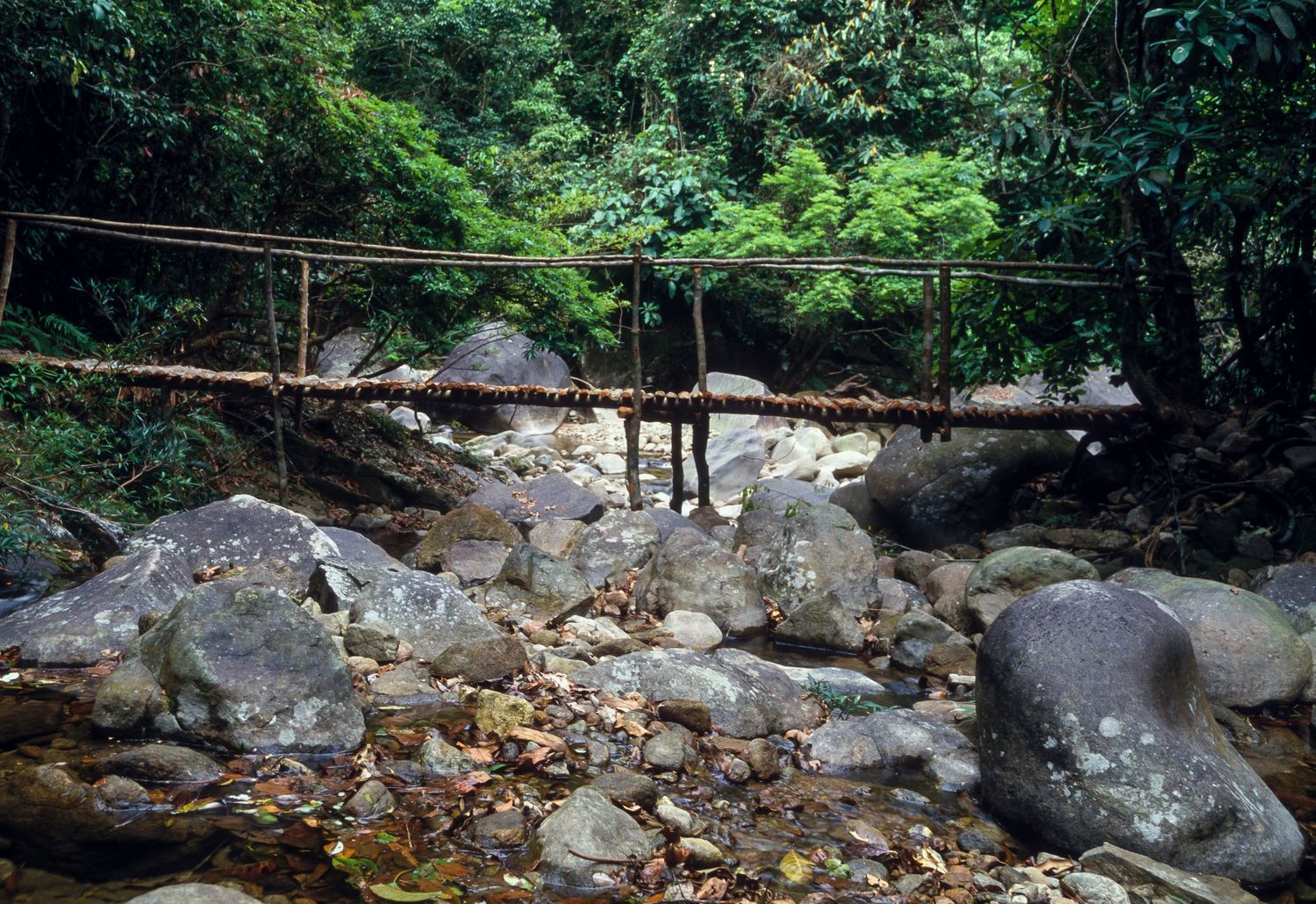 Natural rock formations and boulders along a forest stream with green vegetation.