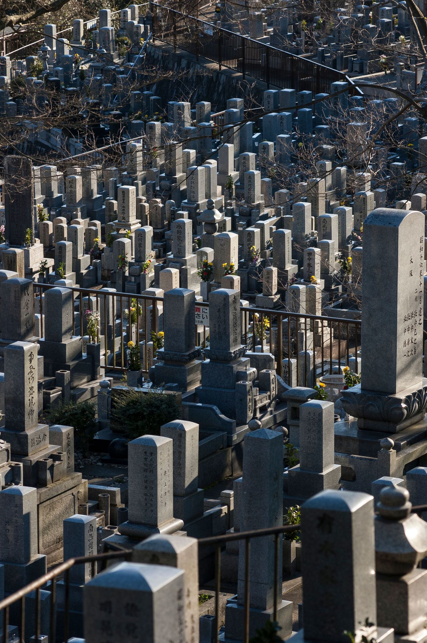 Aerial view of a crowded Japanese cemetery with rows of stone grave markers and monuments.