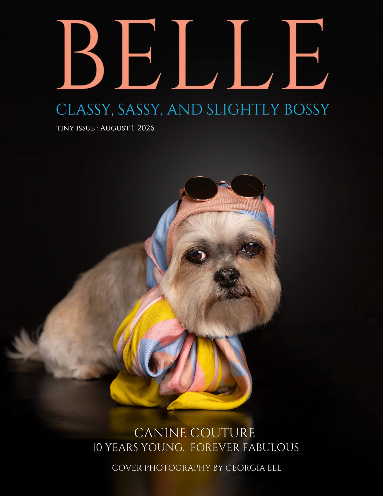 Belle magazine cover featuring a Shih Tzu in sunglasses and silk scarf, titled Classy, Sassy, and Slightly Bossy.