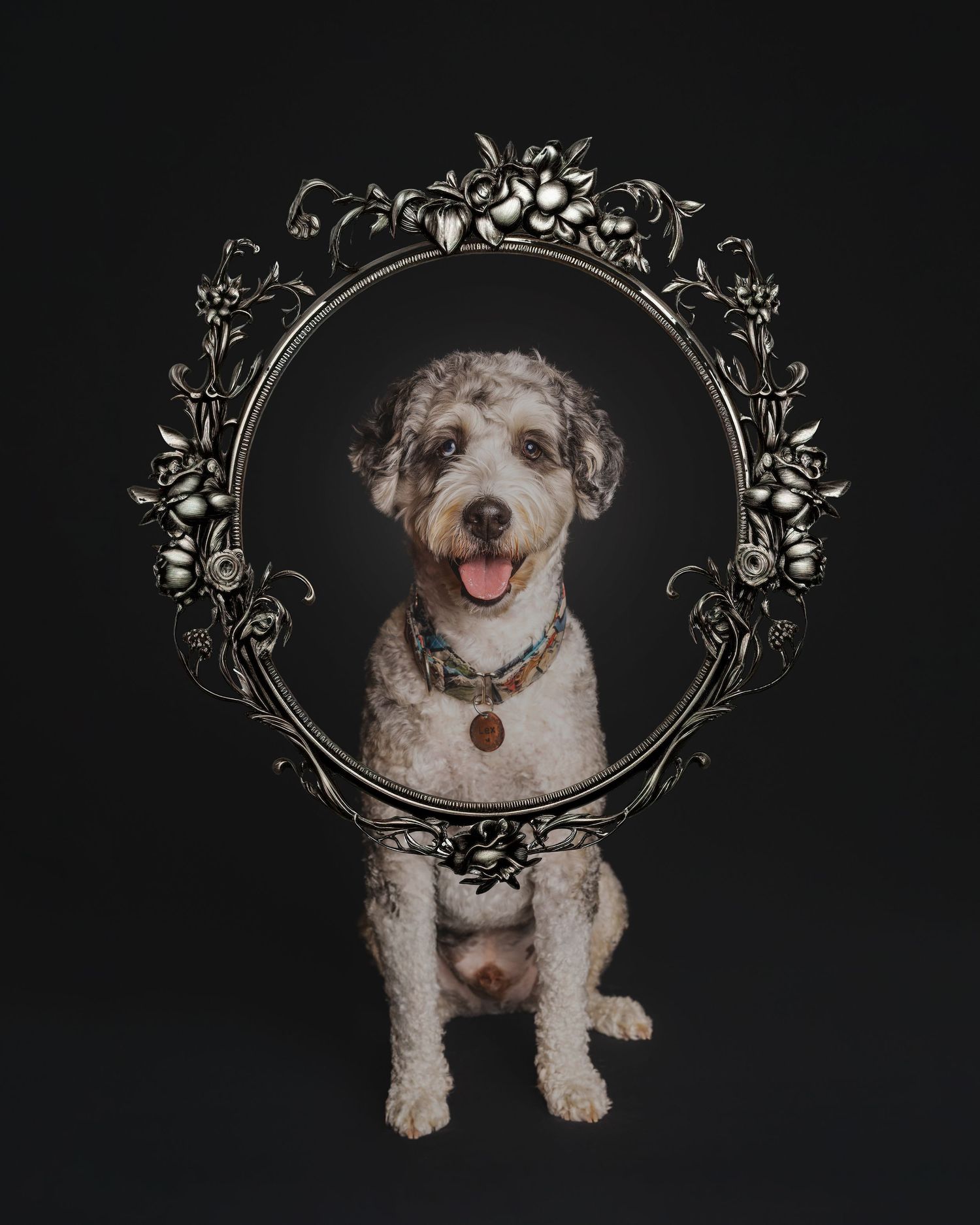A fluffy white and gray doodle dog sits inside an ornate silver floral frame against a black background.