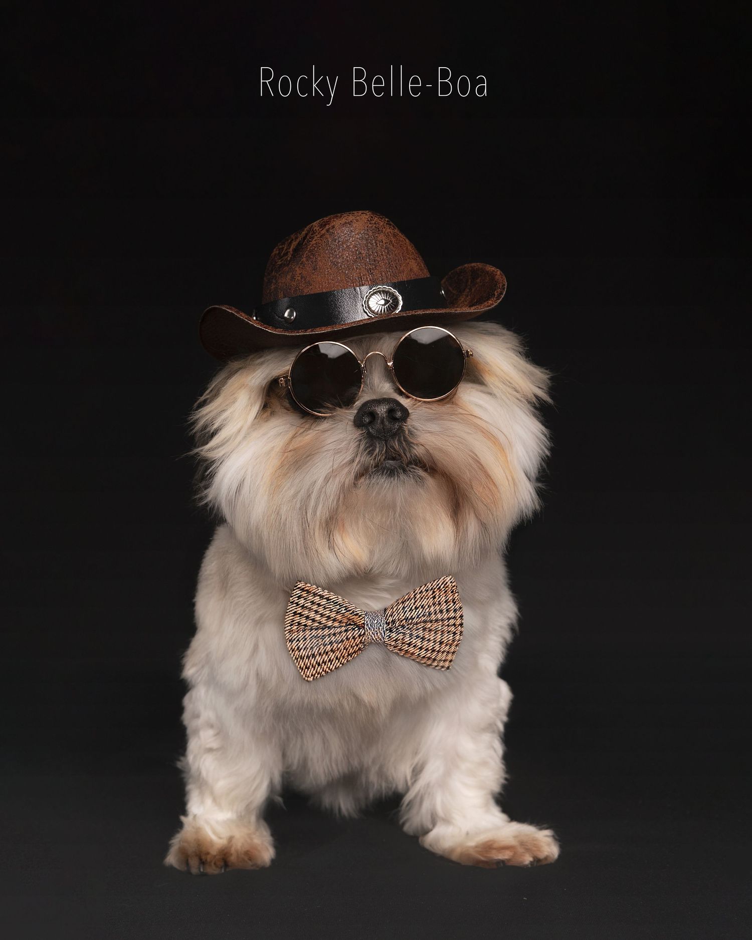 Shih Tzu dog named Rocky Belle-Boa wearing a brown cowboy hat, round sunglasses, and a plaid bow tie on dark background.