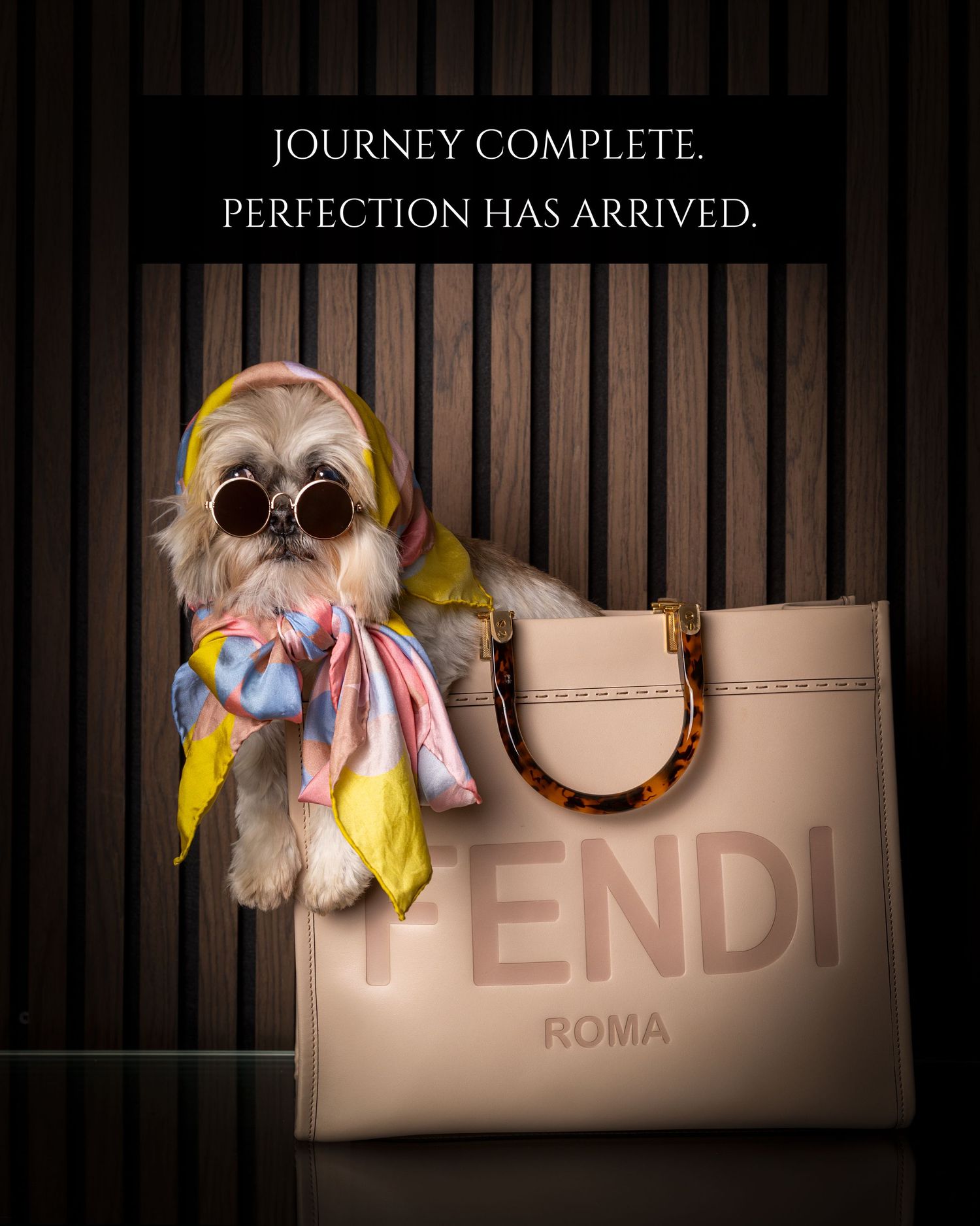 A stylish Shih Tzu in sunglasses and colorful scarf posed inside a Fendi Roma tote bag with Journey Complete text overlay.