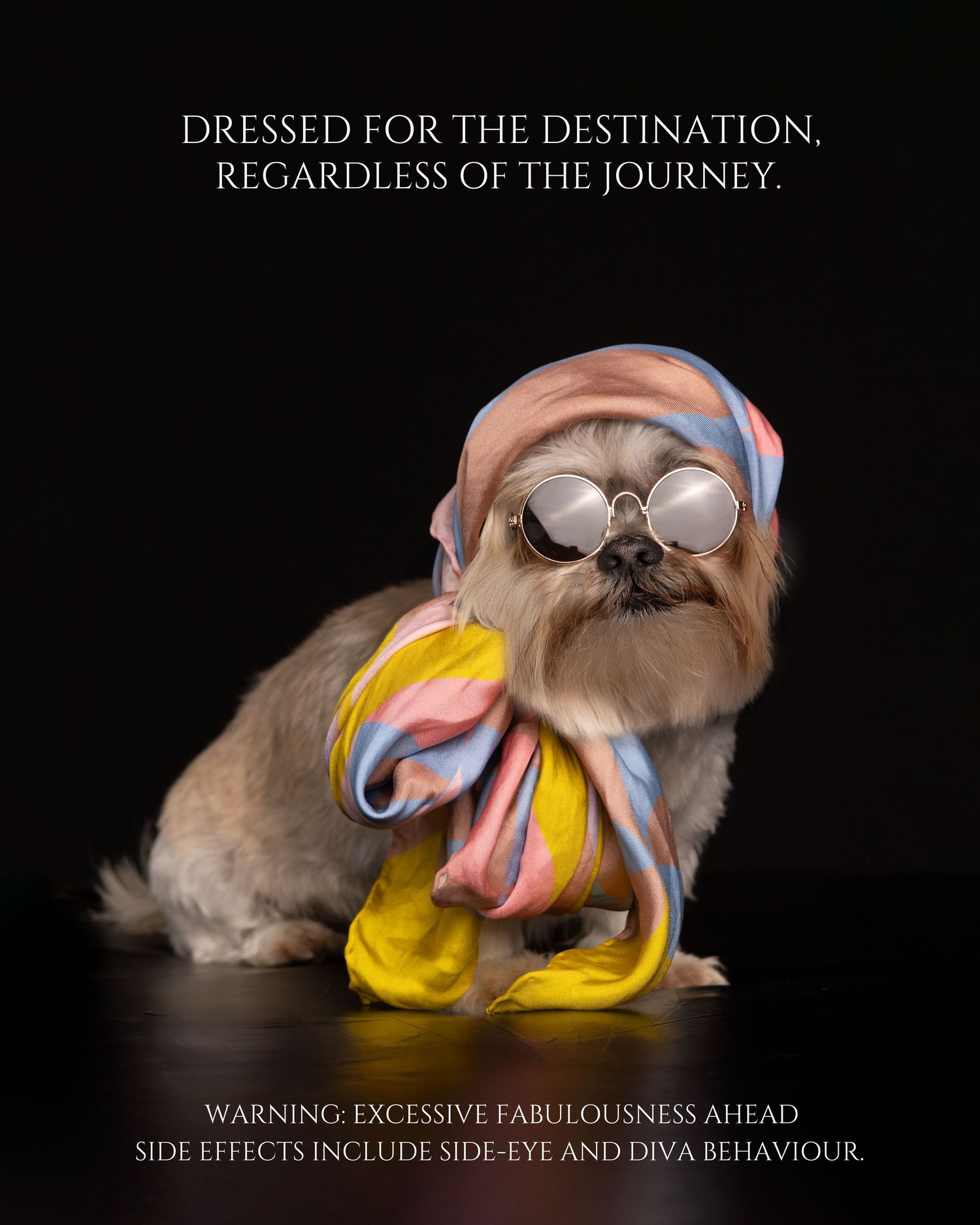 A fashionable Shih Tzu wearing round sunglasses and a colorful silk scarf with humorous text about excessive fabulousness.